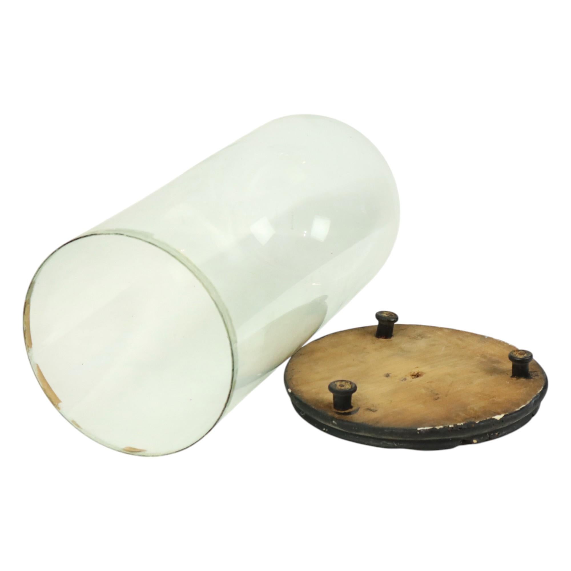 Antike Glaskuppel Globus mundgeblasenes Glas Anfang 20. Jahrhundert 46cm im Angebot 3