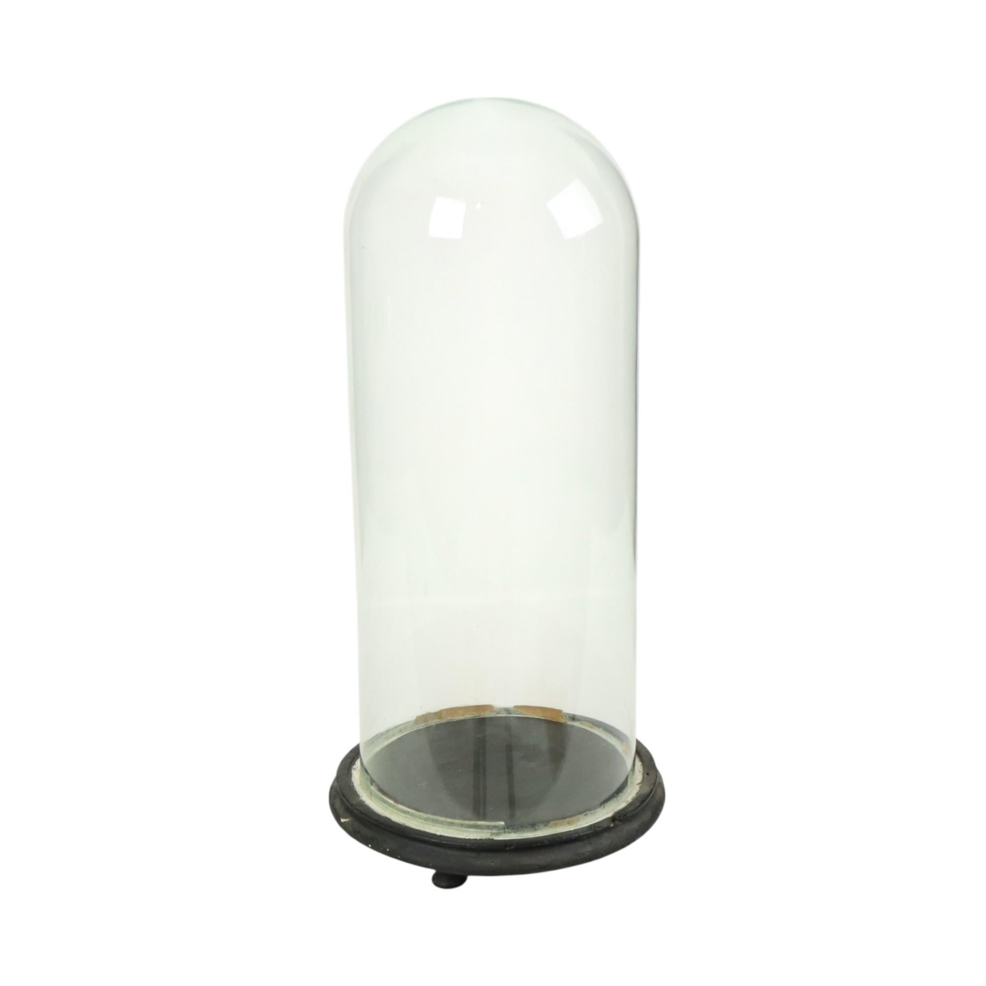 Antike Glaskuppel Globus mundgeblasenes Glas Anfang 20. Jahrhundert 46cm im Angebot 2