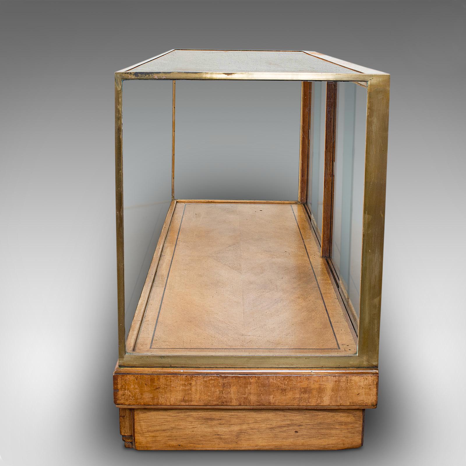 19th Century Antique Glass Shopfitting Cabinet, English, Bronze, Retail, Display, Victorian