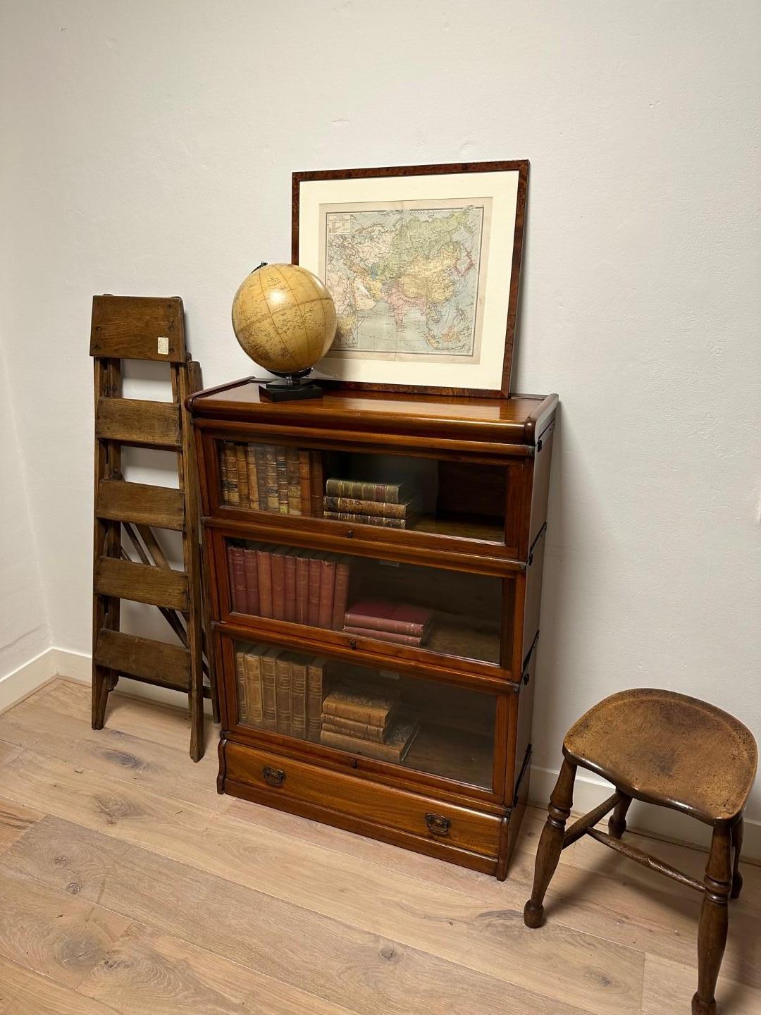 Antique Globe Wernicke Bookcase 4
