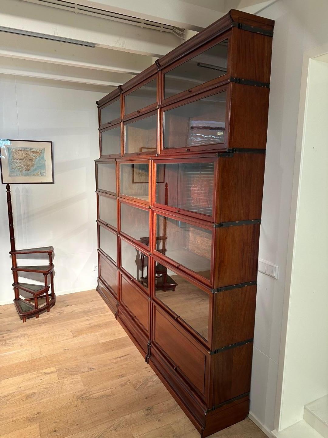 Libreria antica Globe Wernicke in vendita 5