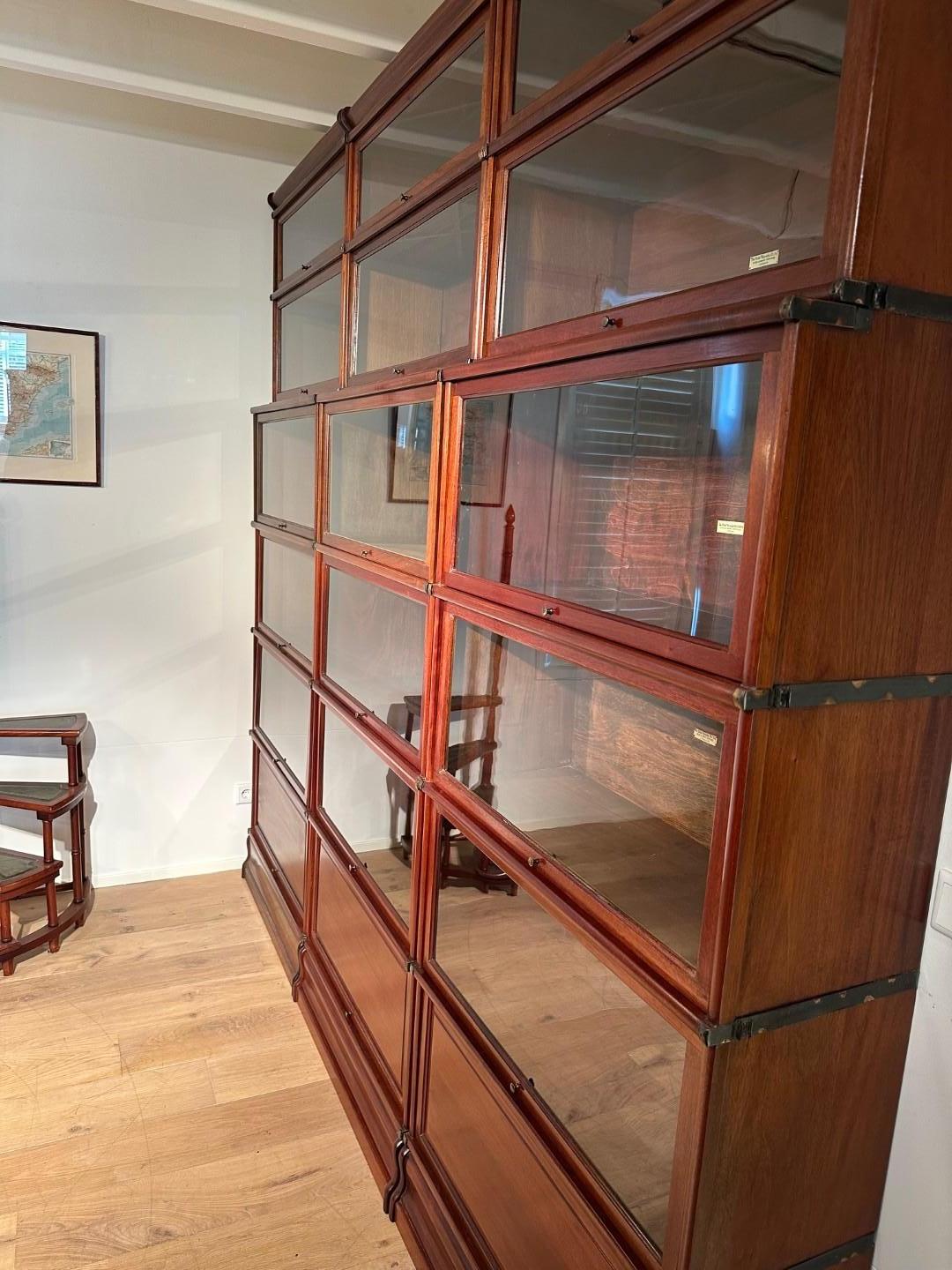 Libreria antica Globe Wernicke in vendita 6