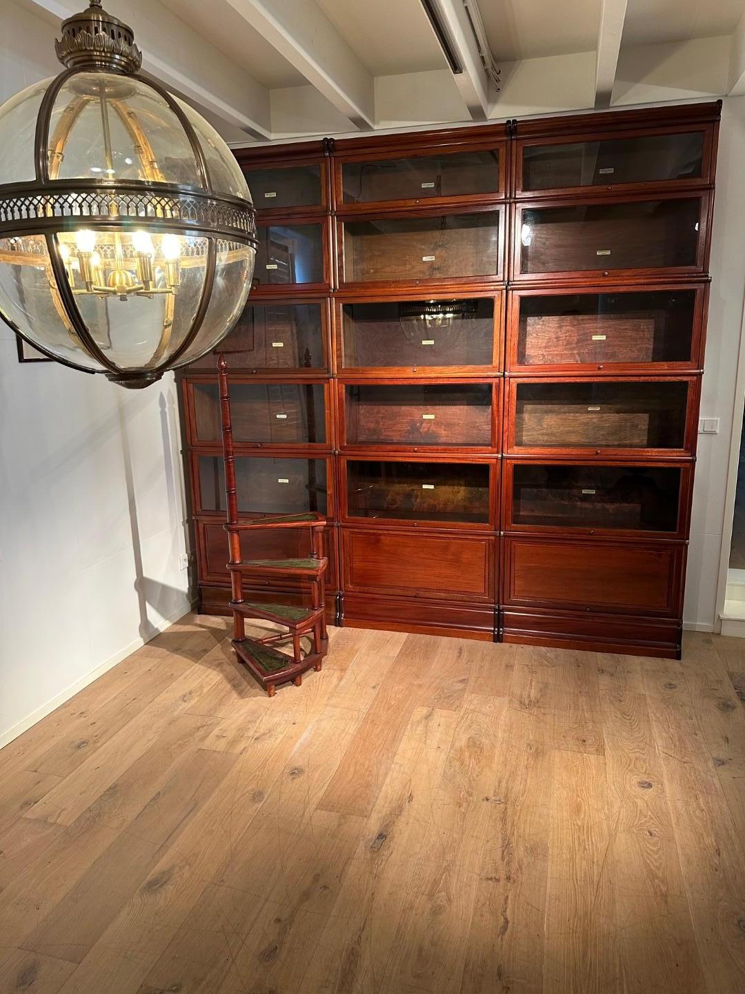 Libreria antica Globe Wernicke in vendita 3