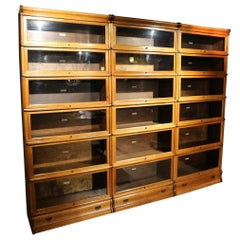 Antique Globe Wernicke Bookcase