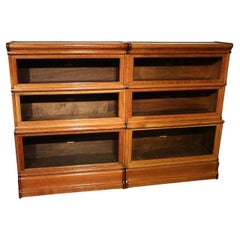Antique Globe Wernicke Bookcase
