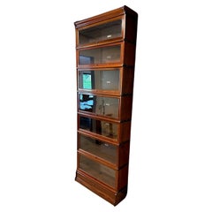 Antique Globe Wernicke Bookcase