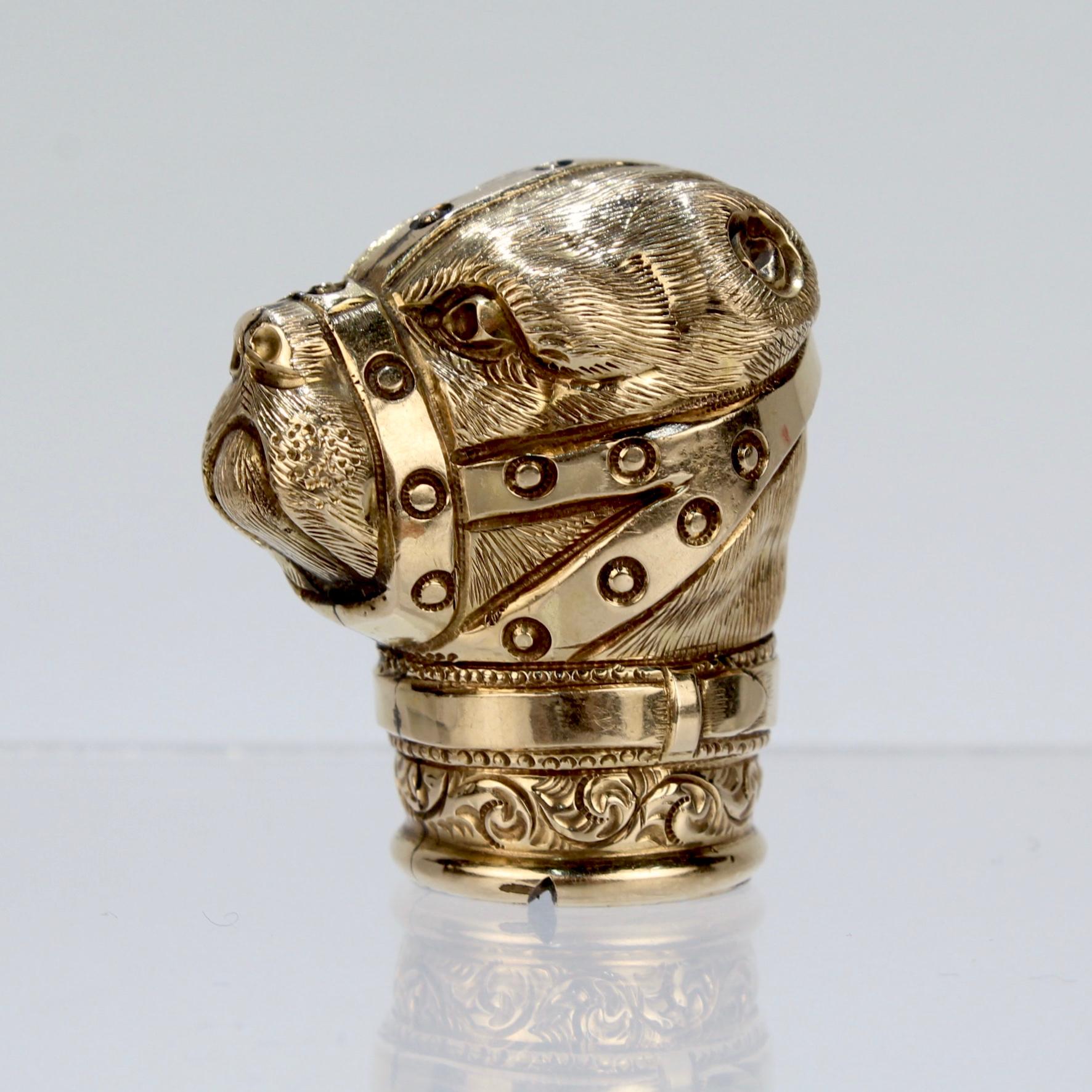 A wonderful, figural antique Victorian gold-filled cane top or walking stick handle.

In the form of a muzzled bear with cropped ears. 

Bear Baiting was a brutal blood sport akin to modern dog fighting that pitted a bear (often tethered and