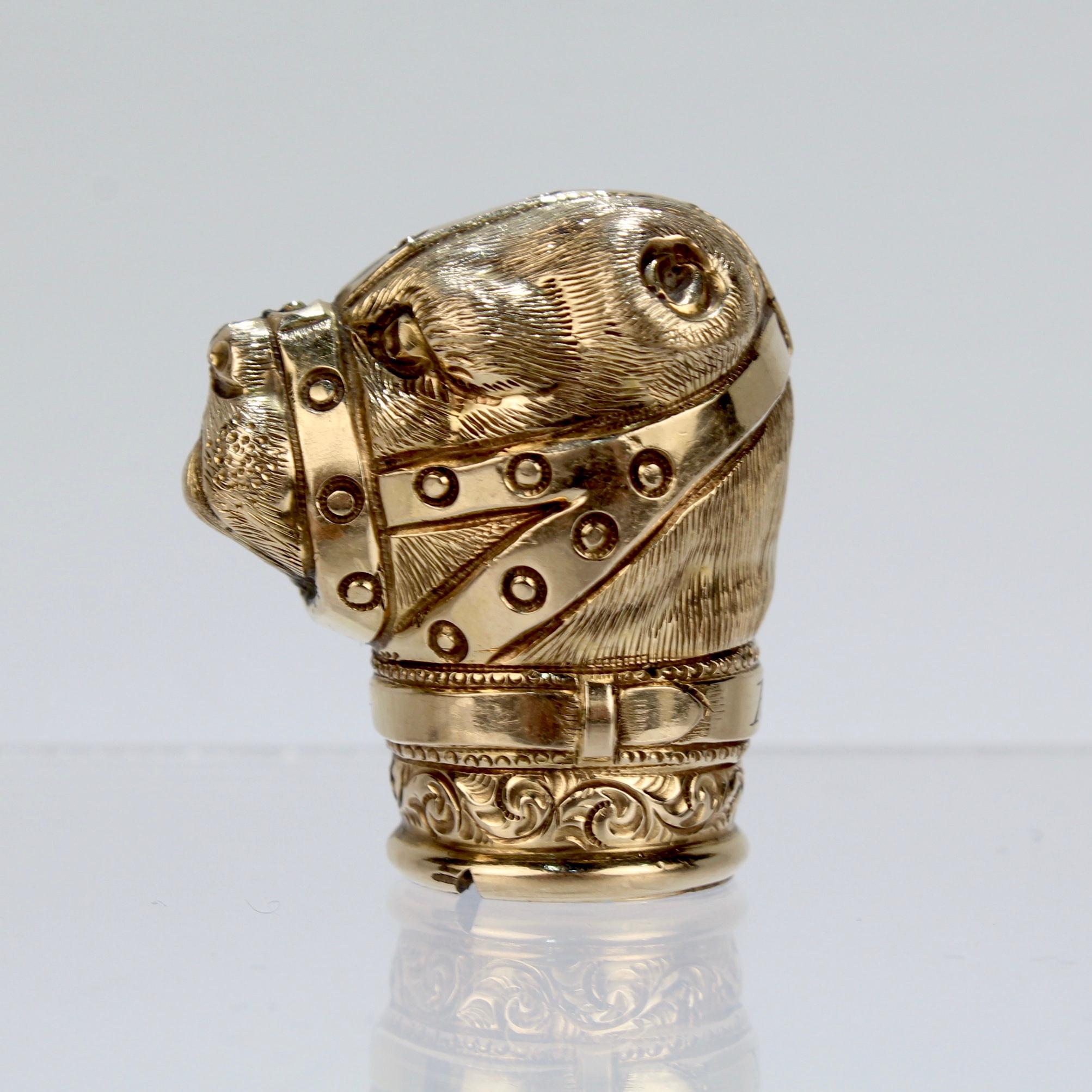 Antiker goldgefüllter Baiting Bear mit Muzzle Cane Top oder Walking Stick Handle (Viktorianisch)