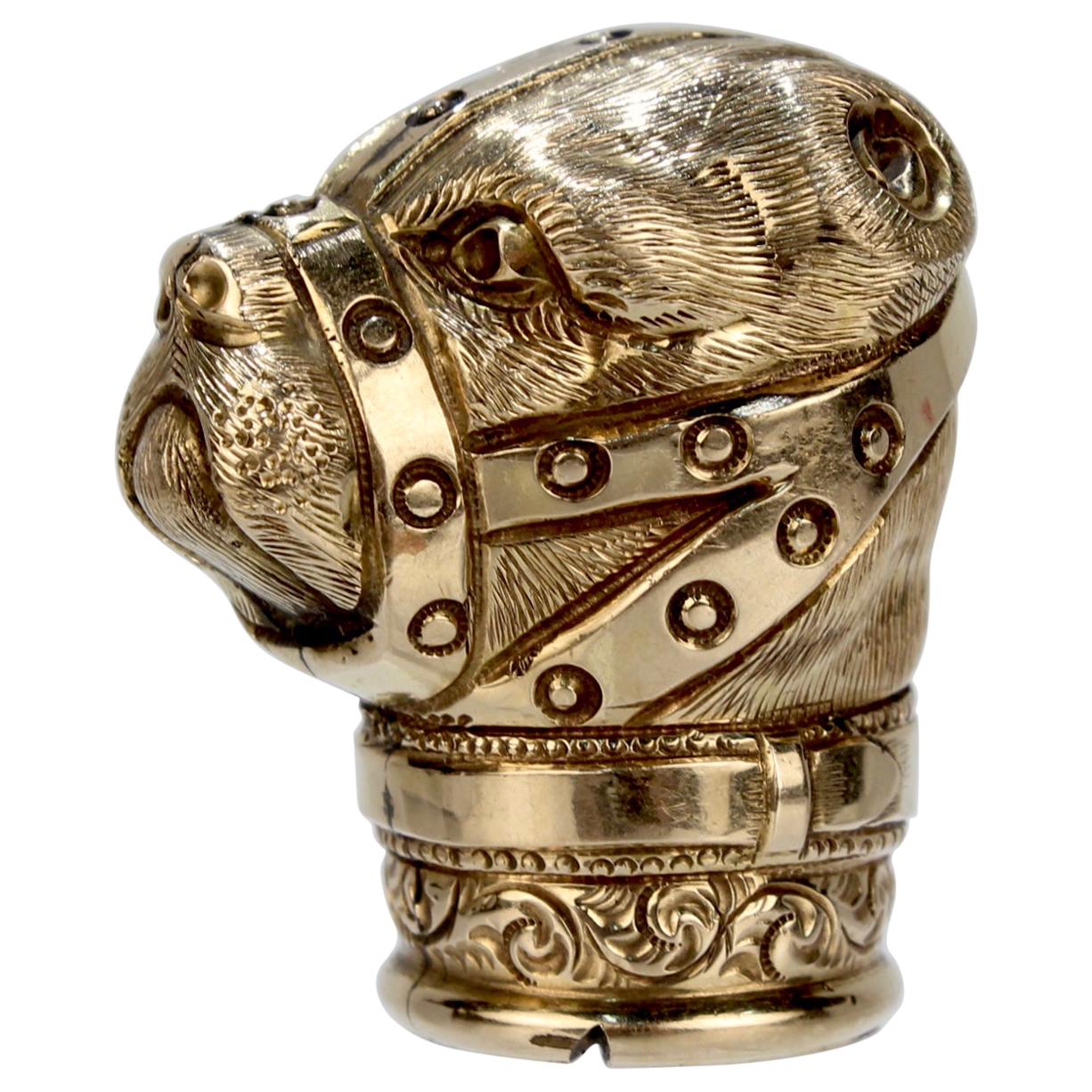 Antiker goldgefüllter Baiting Bear mit Muzzle Cane Top oder Walking Stick Handle