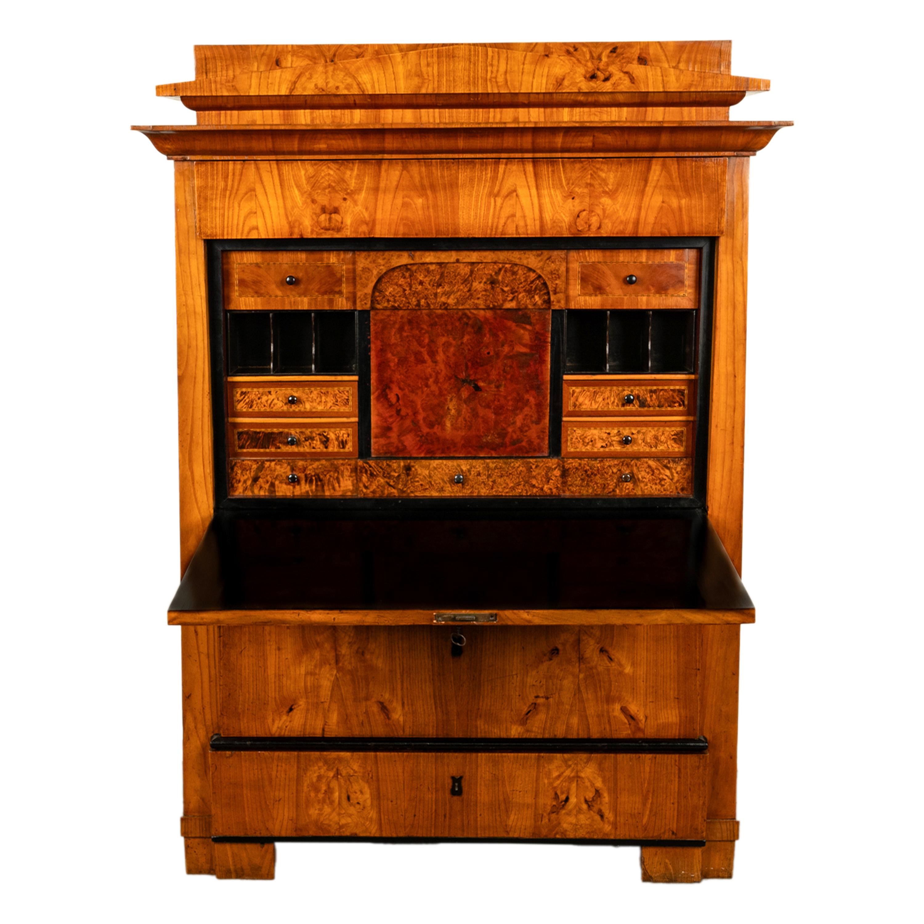 Antike Biedermeier-Schreibtisch-Sekretär-Kommode aus goldener Esche und Ebenholz Schweden 1820 5