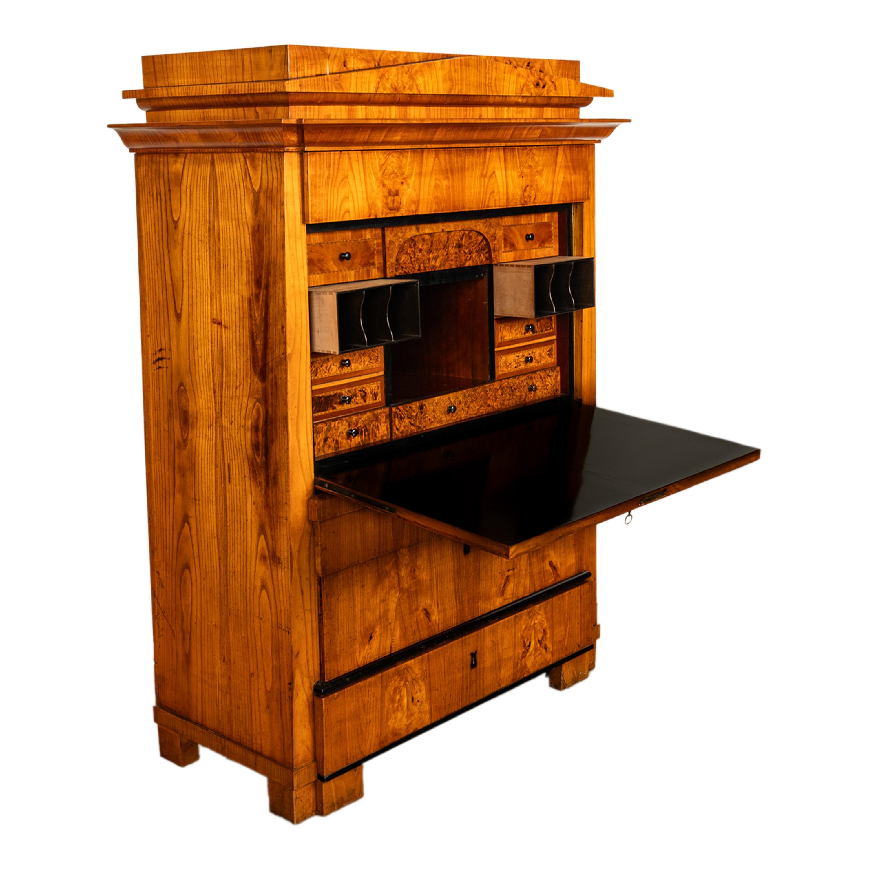 Antike Biedermeier-Schreibtisch-Sekretär-Kommode aus goldener Esche und Ebenholz Schweden 1820 8