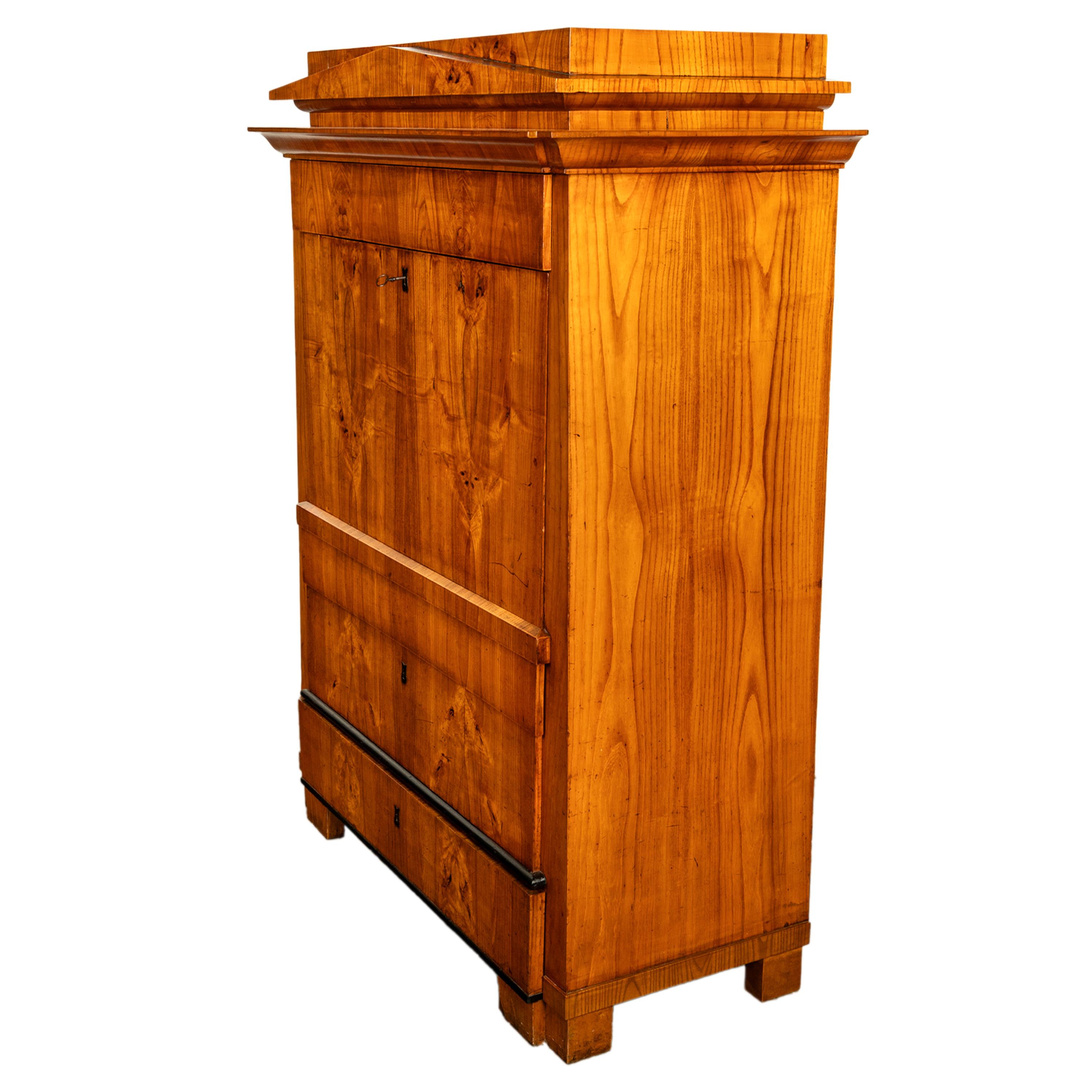 Antike Biedermeier-Schreibtisch-Sekretär-Kommode aus goldener Esche und Ebenholz Schweden 1820 9