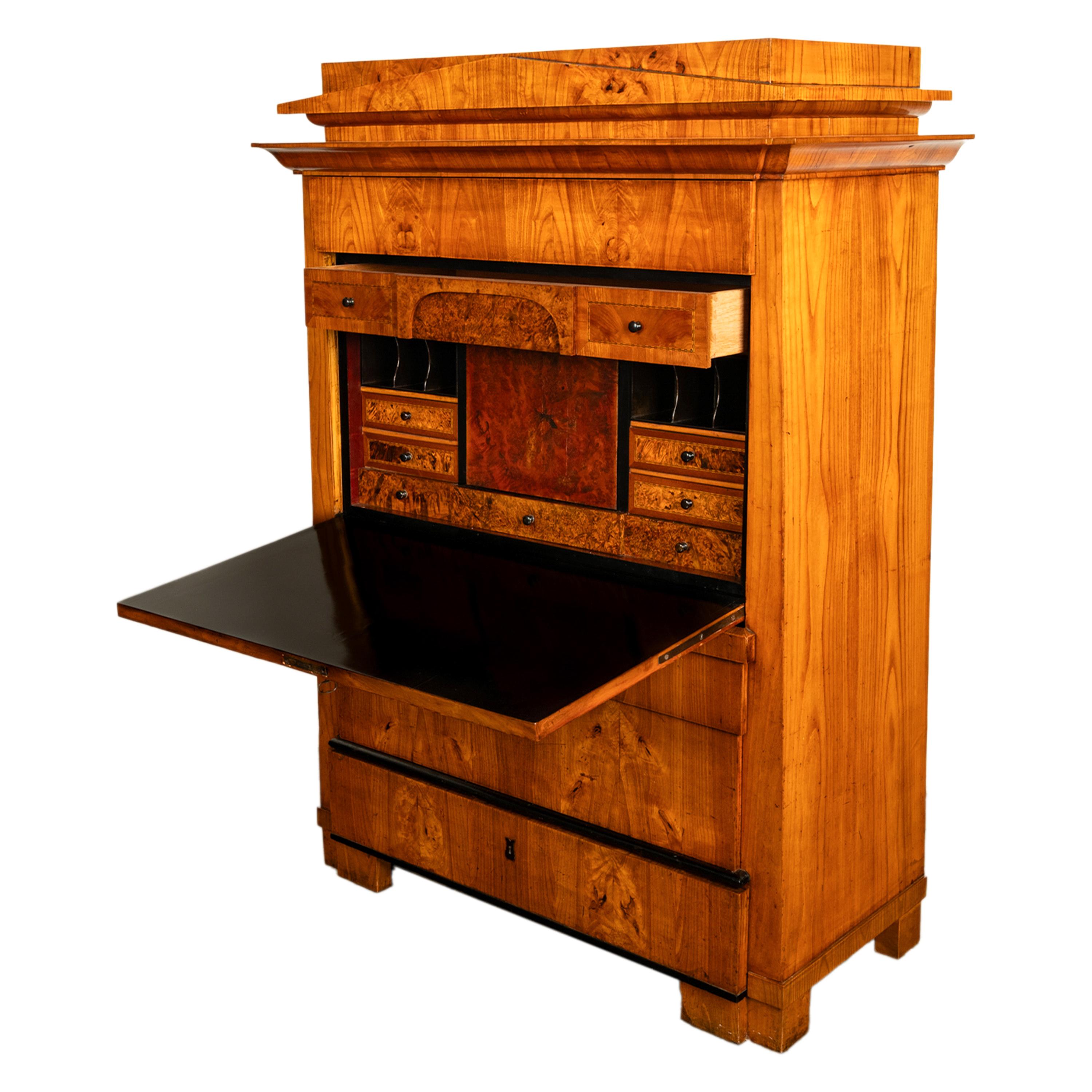 Antike Biedermeier-Schreibtisch-Sekretär-Kommode aus goldener Esche und Ebenholz Schweden 1820 (Asche)