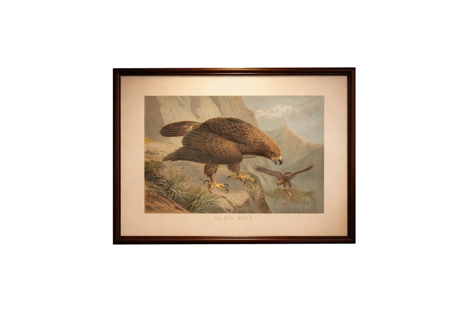 Antique Golden Eagle Bird Lithograph, Royal Natural History, 1895 For Sale