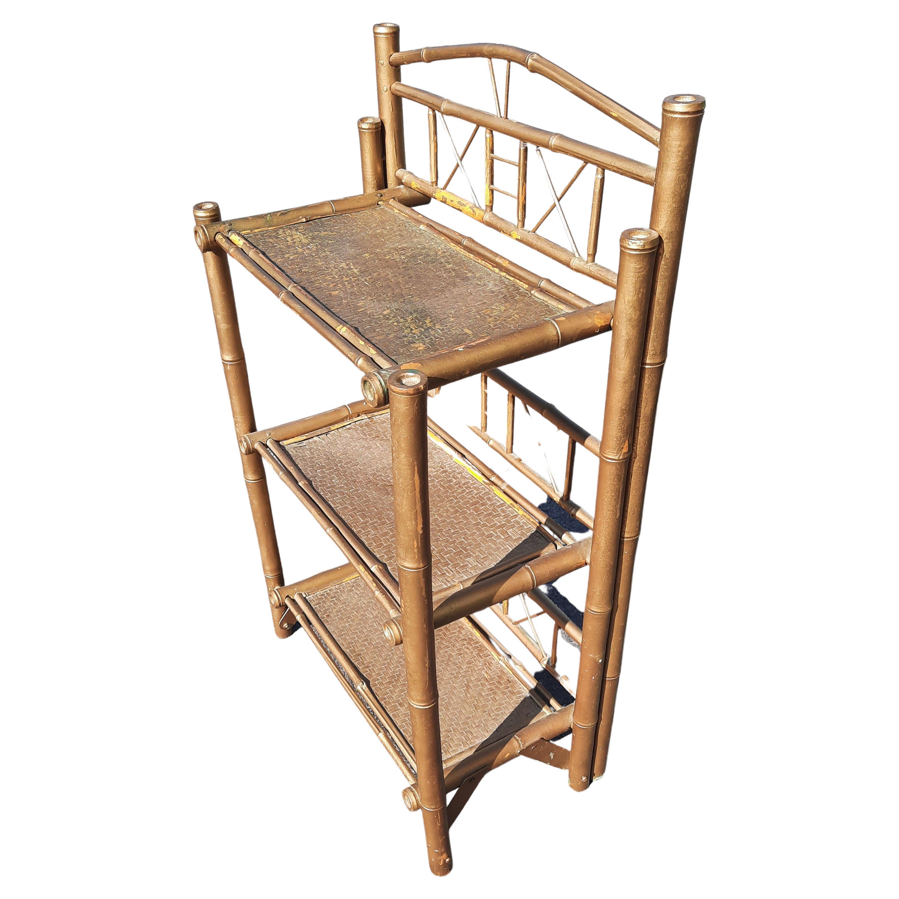 tortoise bookshelf