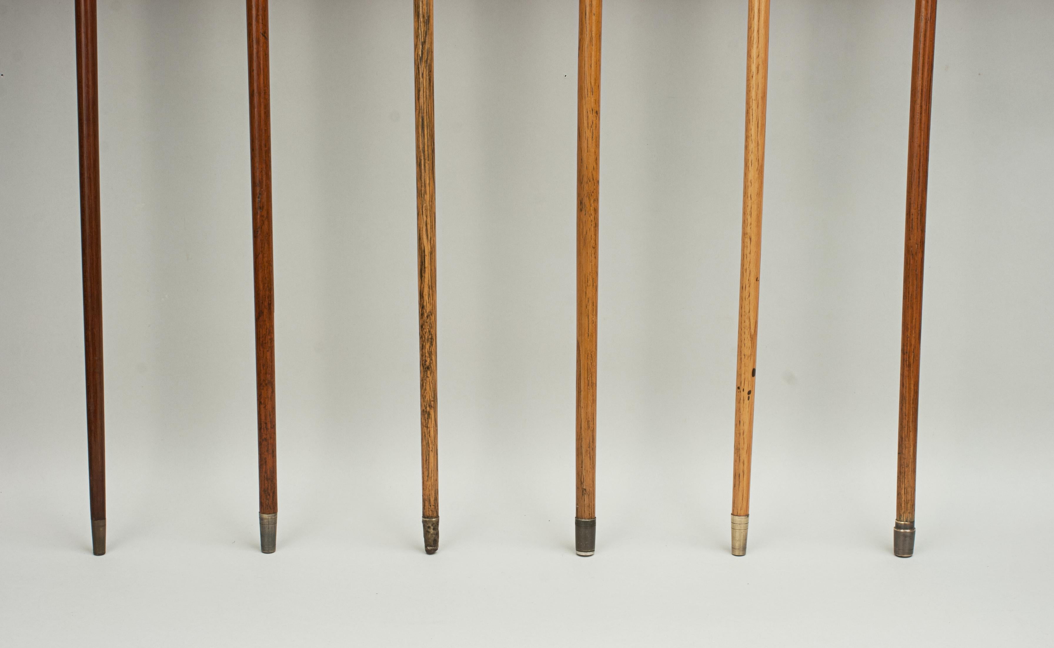 Antique Golf Club Walking Stick Collection of 16 Canes, Sunday Clubs 3