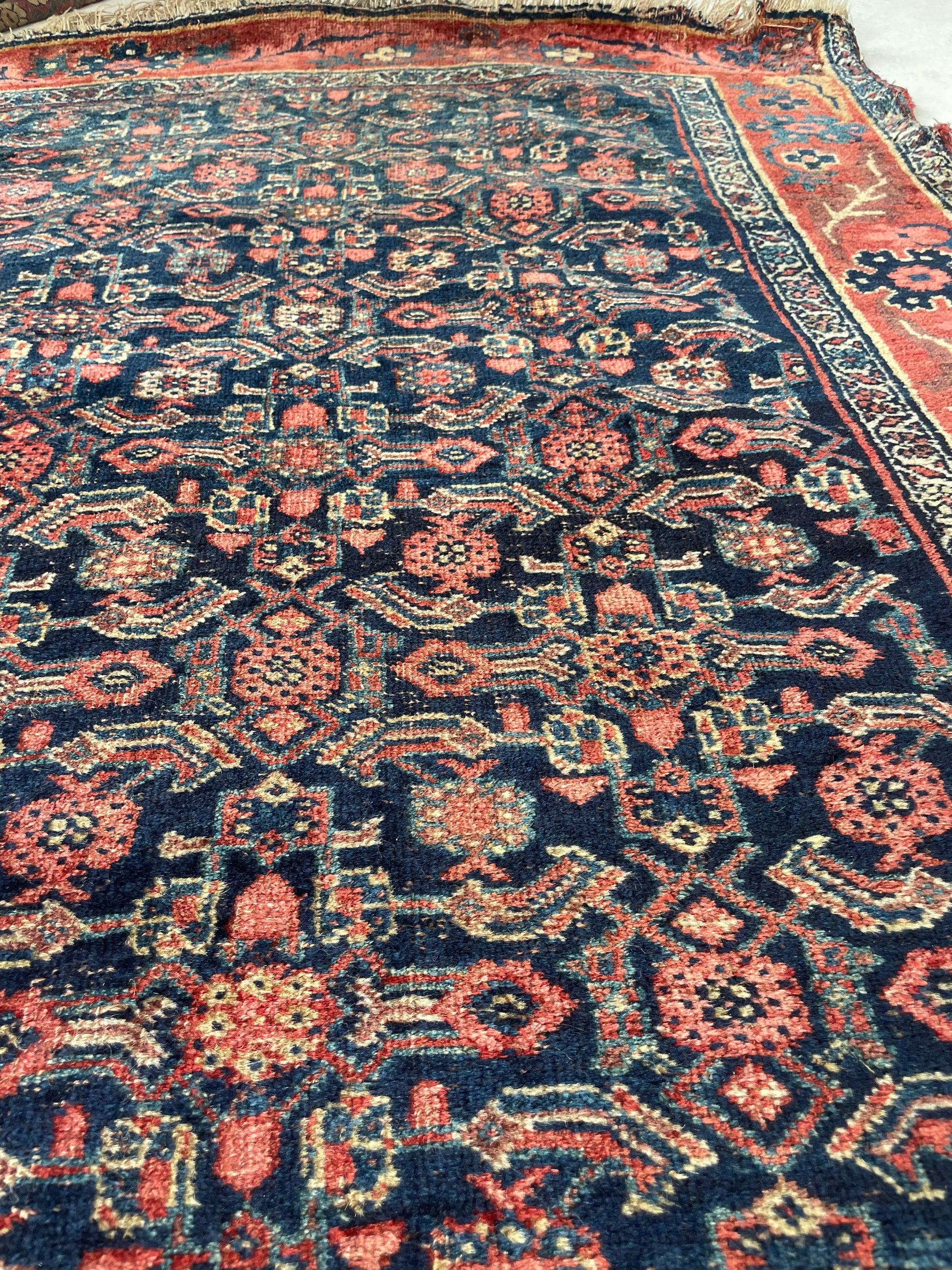 Antique Gorgeous Halvai Bidjar with Growing Vine Border Rug, circa 1920's In Good Condition For Sale In Milwaukee, WI