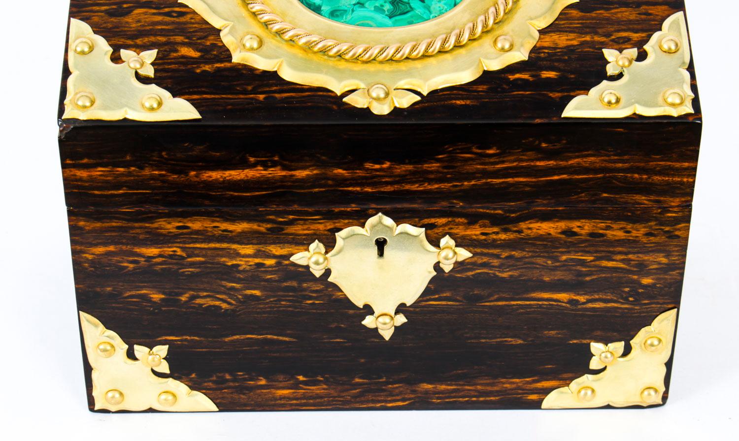 Antique Gothic Revival Brass Inset Malachite Coromandel Casket, 19th Century 6