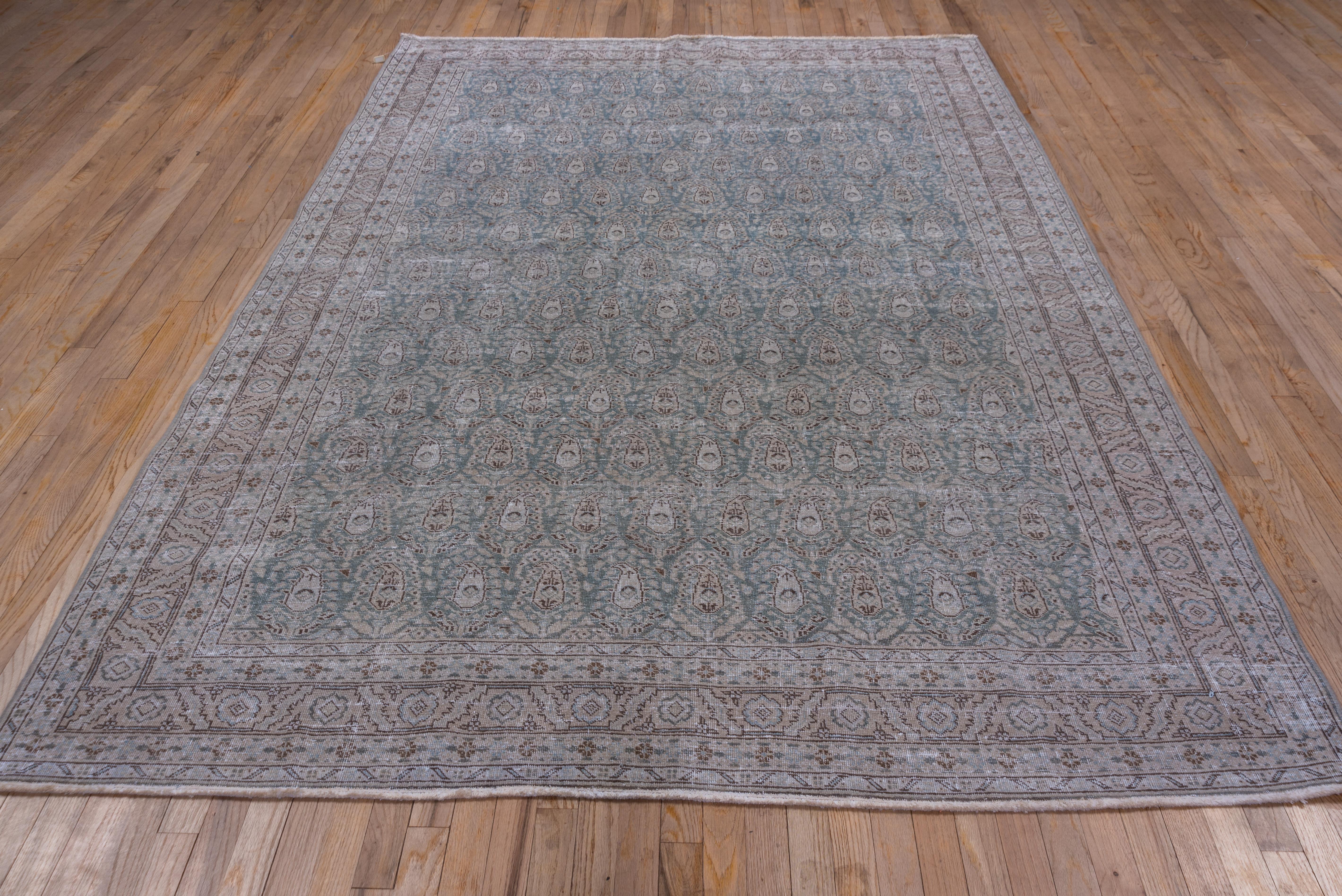 This Persian Tabriz rug has greyish field that displays rows of floriated botehs alternating in orientation row by offset row. The grayish main border shows bent leaves and bracketed rosettes in the NW Persian rustic style. Dark brown is a