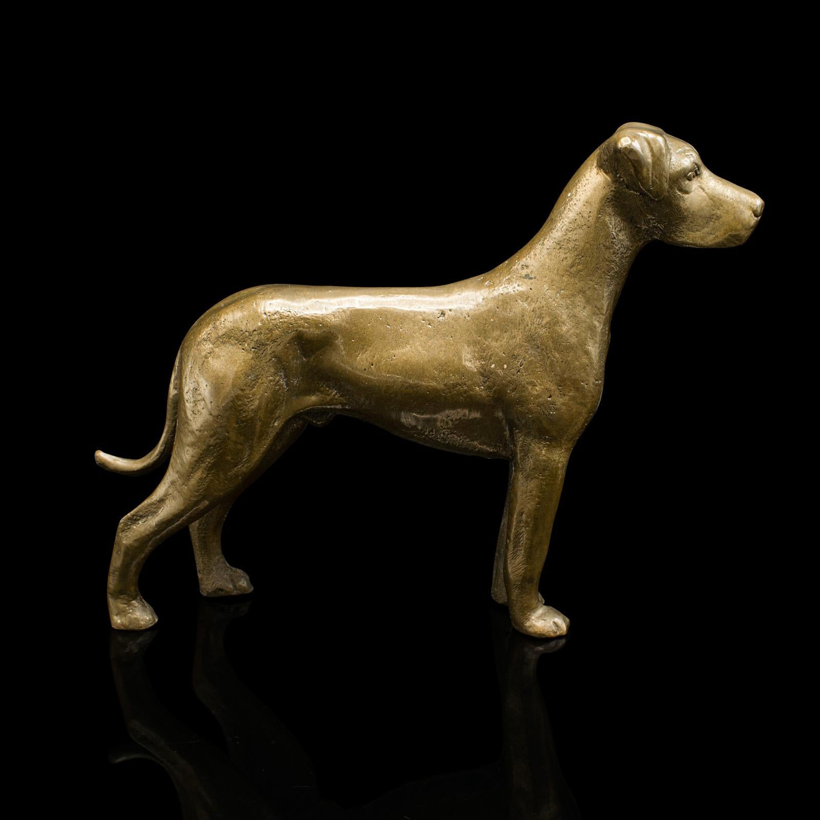 This is an antique Great Dane figure. An English, bronze decorative dog statue, dating to the late Victorian period, circa 1900.

Appealing weight to this desktop best friend
Displays a desirable aged patina and in good original order
Pleasingly