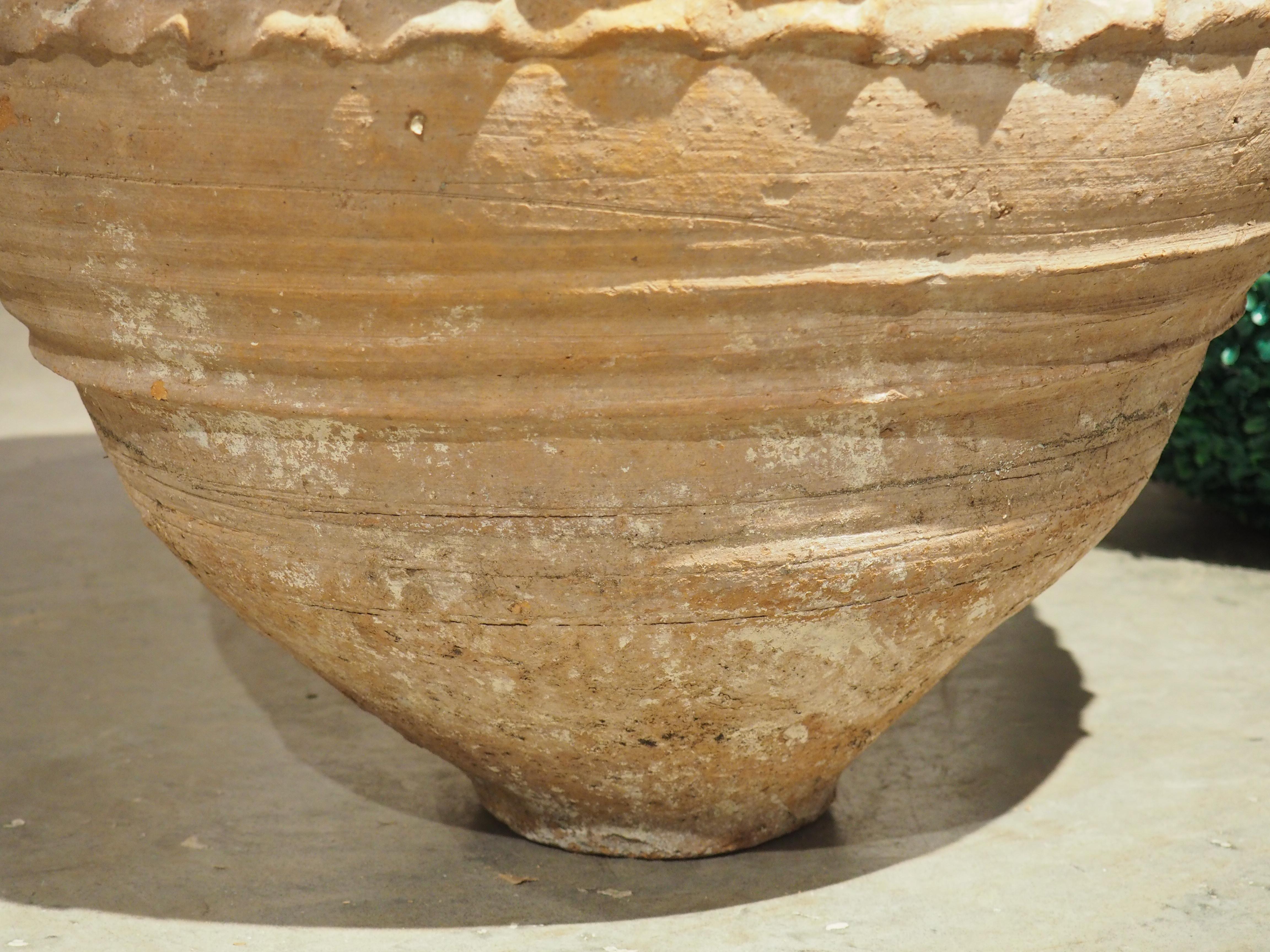 Antiker griechischer Öltopf mit Trauben oder Oliven, 19. Jahrhundert (Keramik) im Angebot
