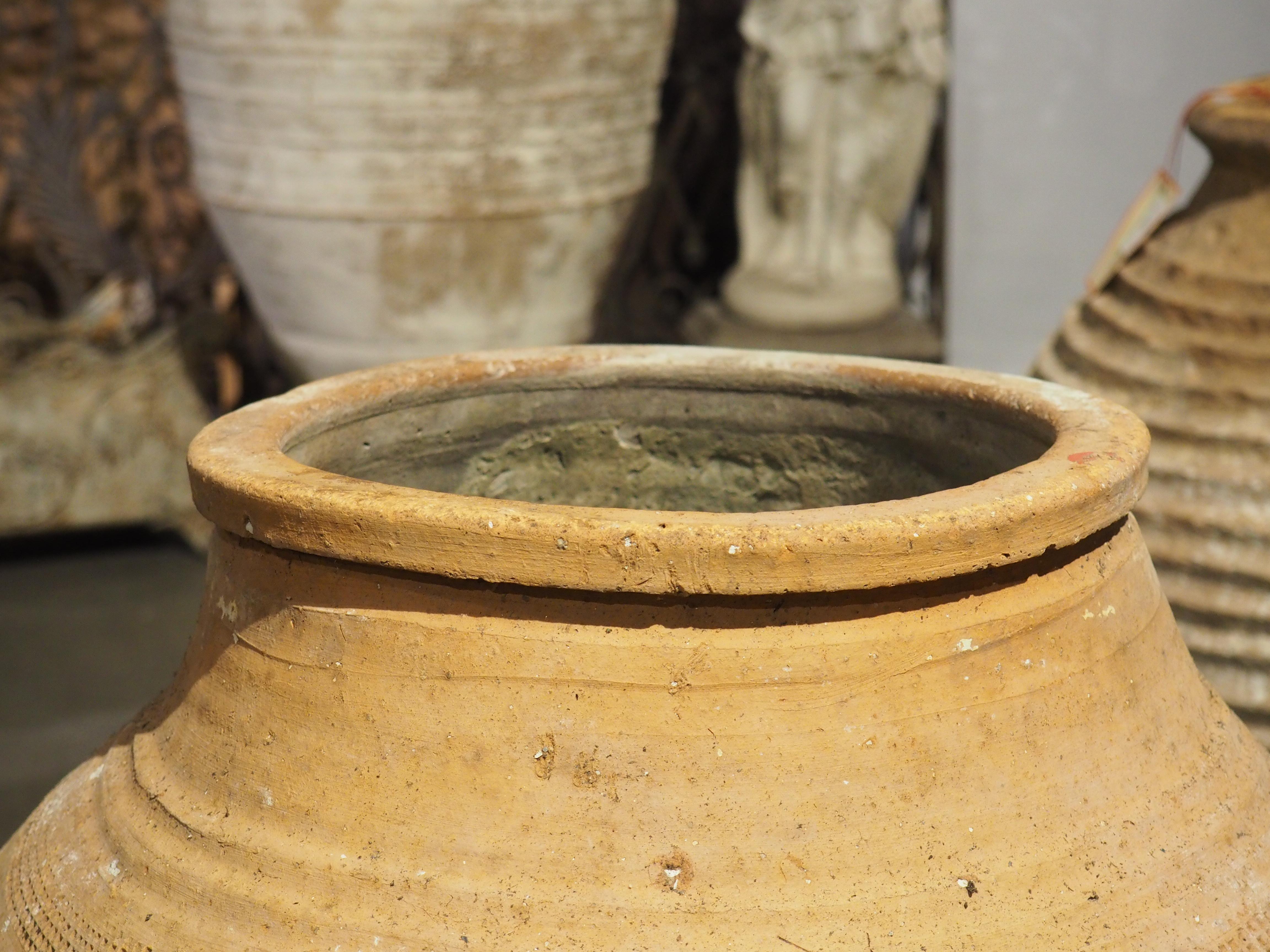 Pot à huile grec ancien représentant des raisins ou des olives, 19ème siècle en vente 1