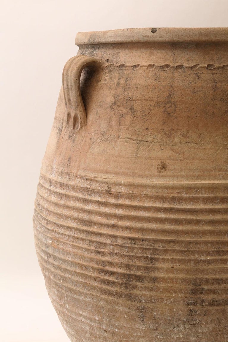 Antique Greek Olive Jar at 1stDibs