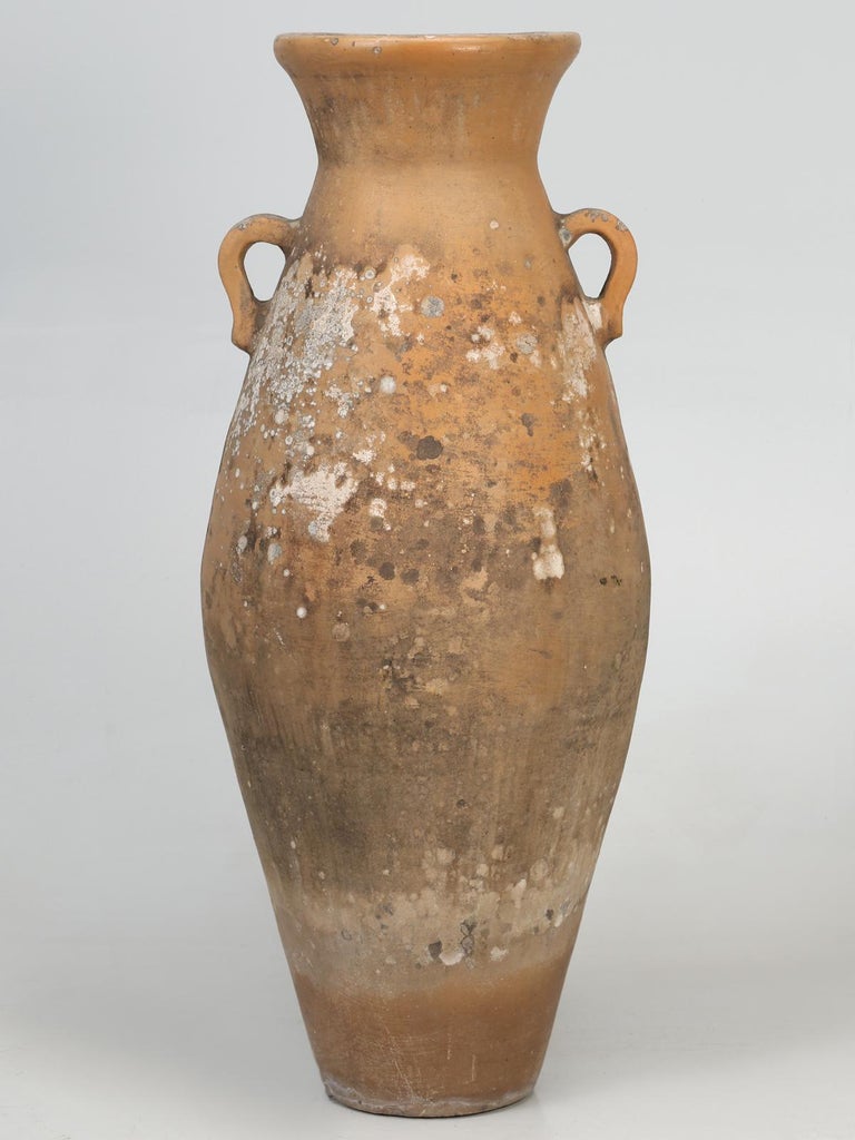 Antique Greek Olive Oil or Wine Amphora For Sale at 1stDibs