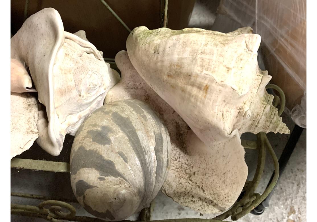Jardinera Decorada con Pintura Verde Antigua y Colección de Conchas en venta 10