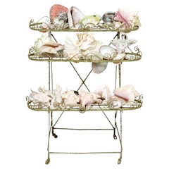 Antique Green Paint Decorated Plant Stand With Shell Collection
