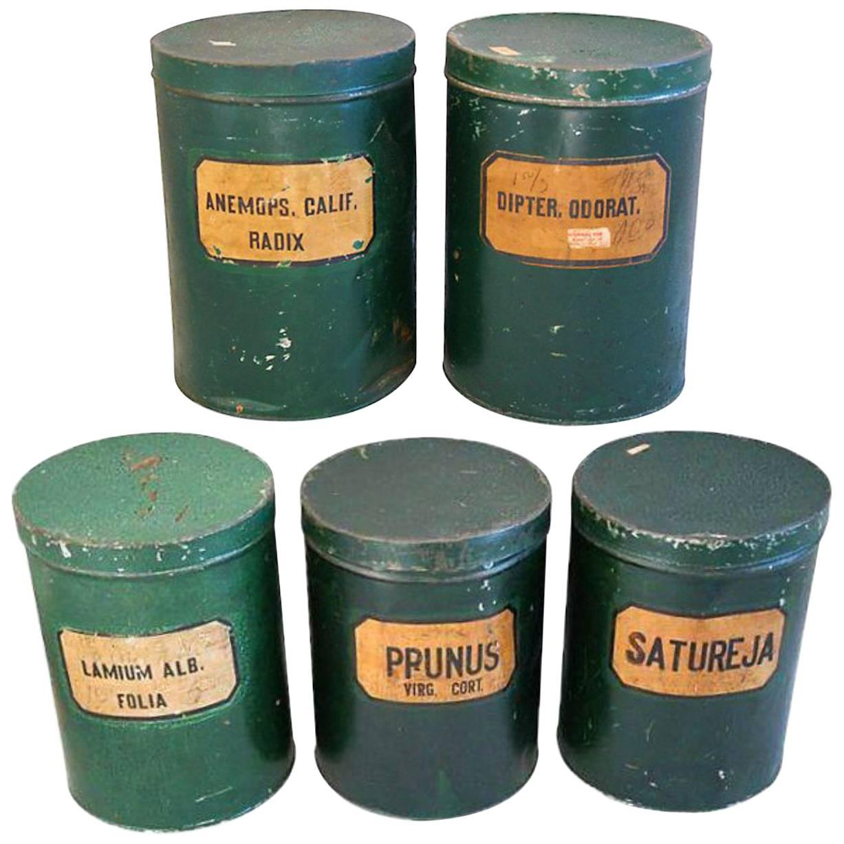 Antique Green Tole Herbalist Apothecary Tins, Set of Five