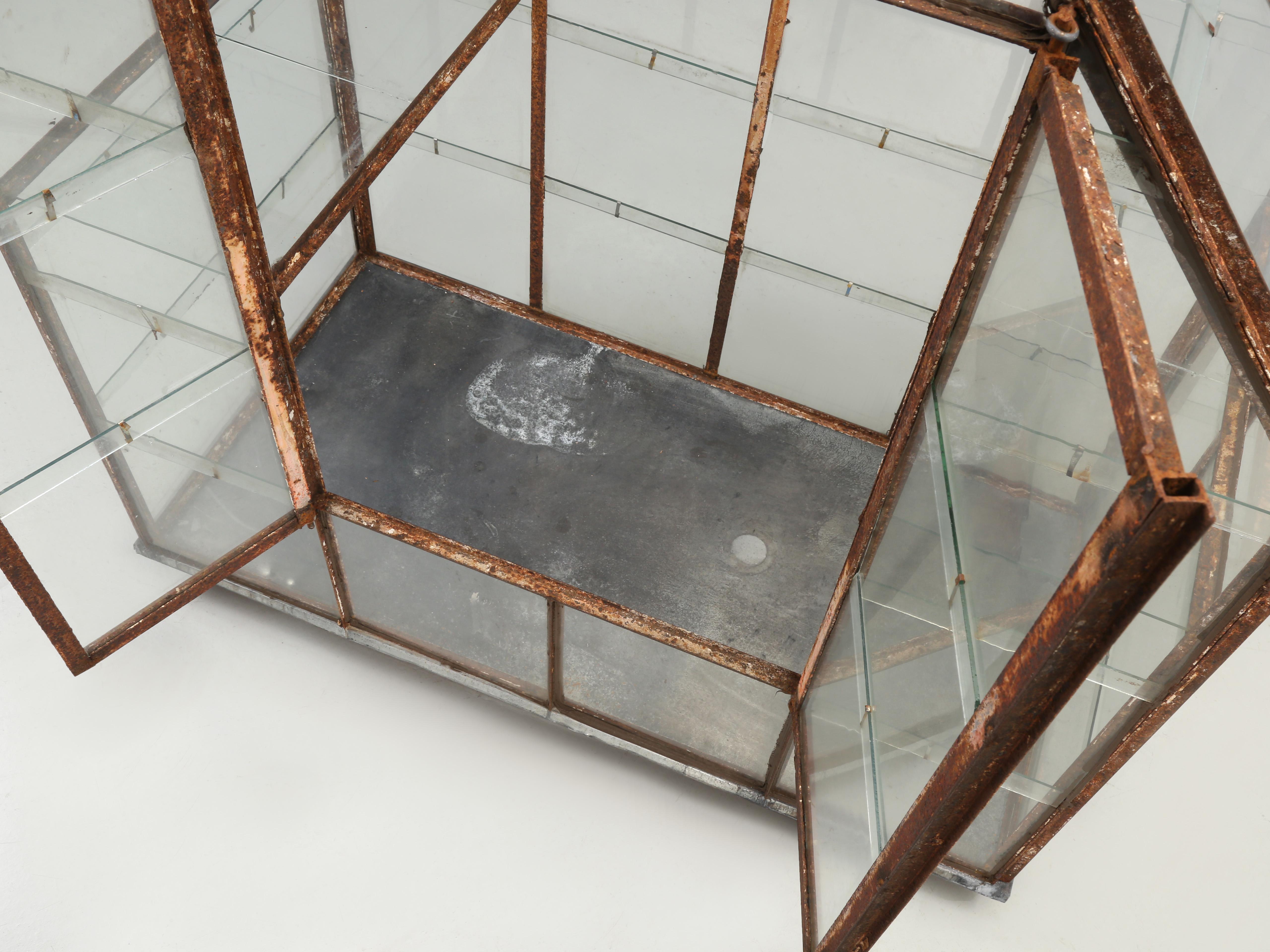 Antique Greenhouse from Ireland, County Cavan, Early 1900’s on Wheels 4