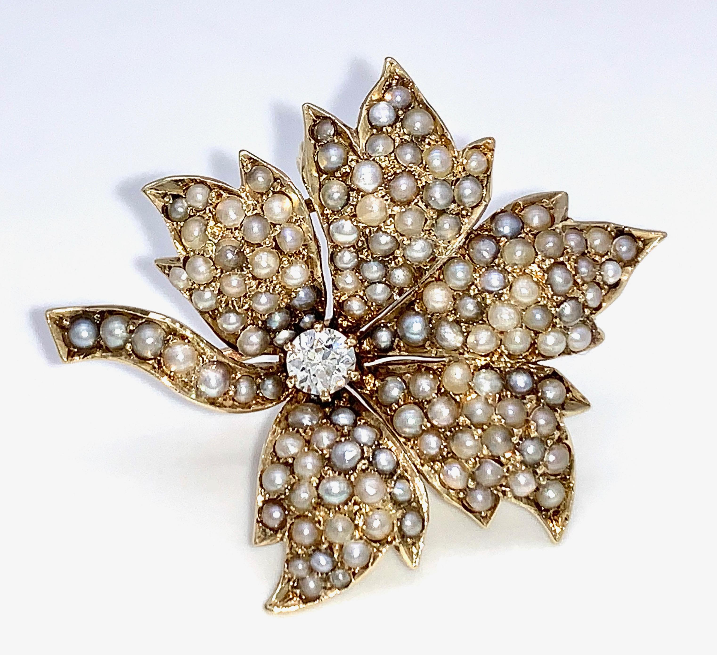 Belle Époque Antique Grey and White Oriental Pearls Gold Diamond Wine Leaf Pendant Brooch For Sale