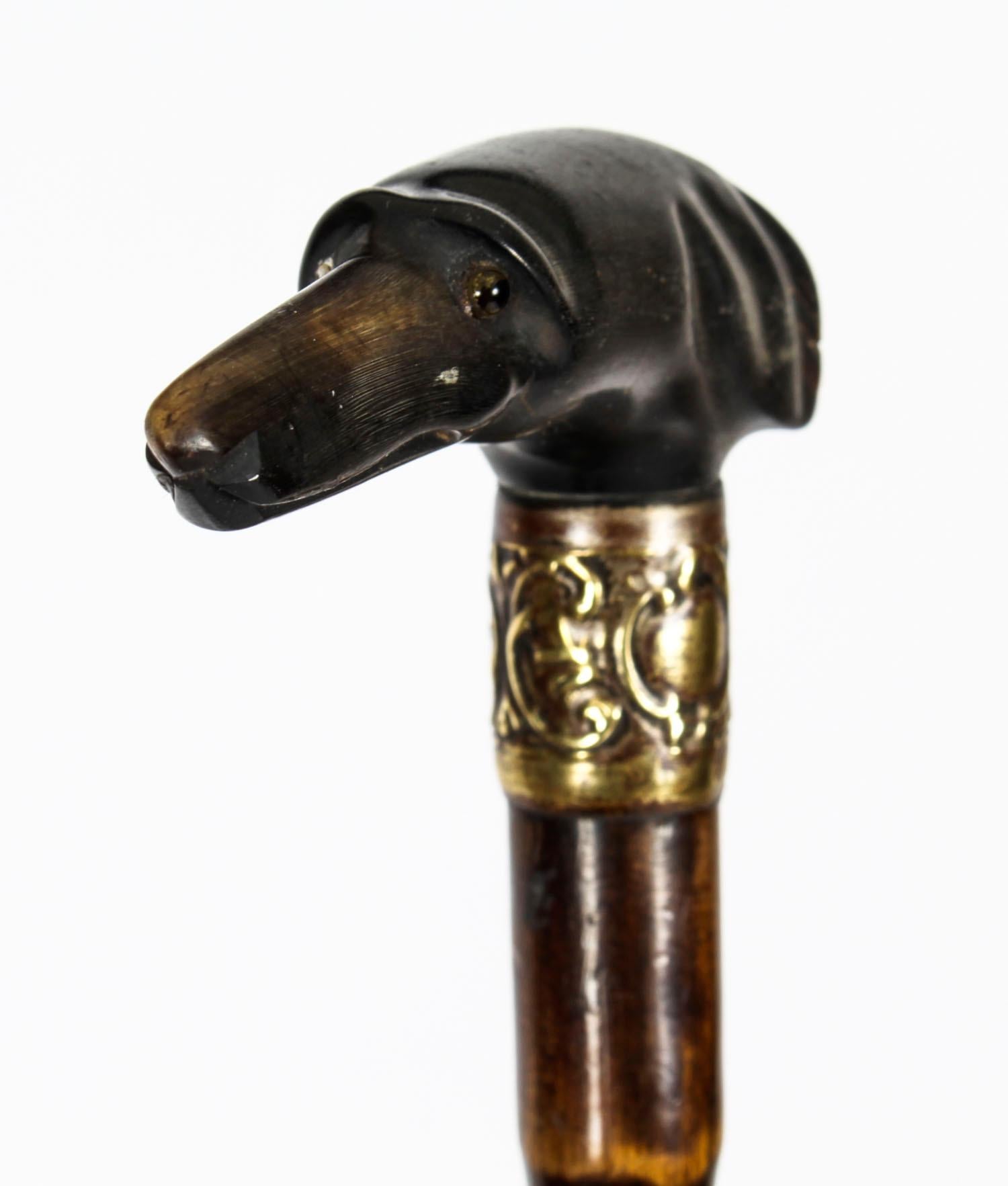 Antique Greyhound Pommel & Malacca Walking Stick Cane, 19th Century 1