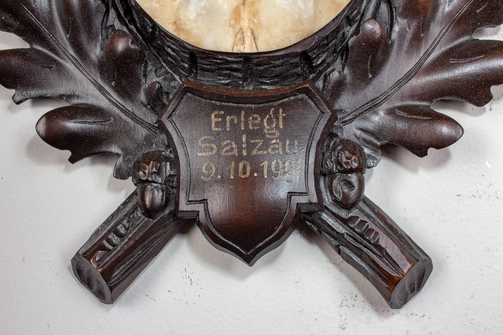 Hand-Carved Antique Habsburg Fallow Deer Trophy of Emperor Franz Josef from Eckartsau Castle