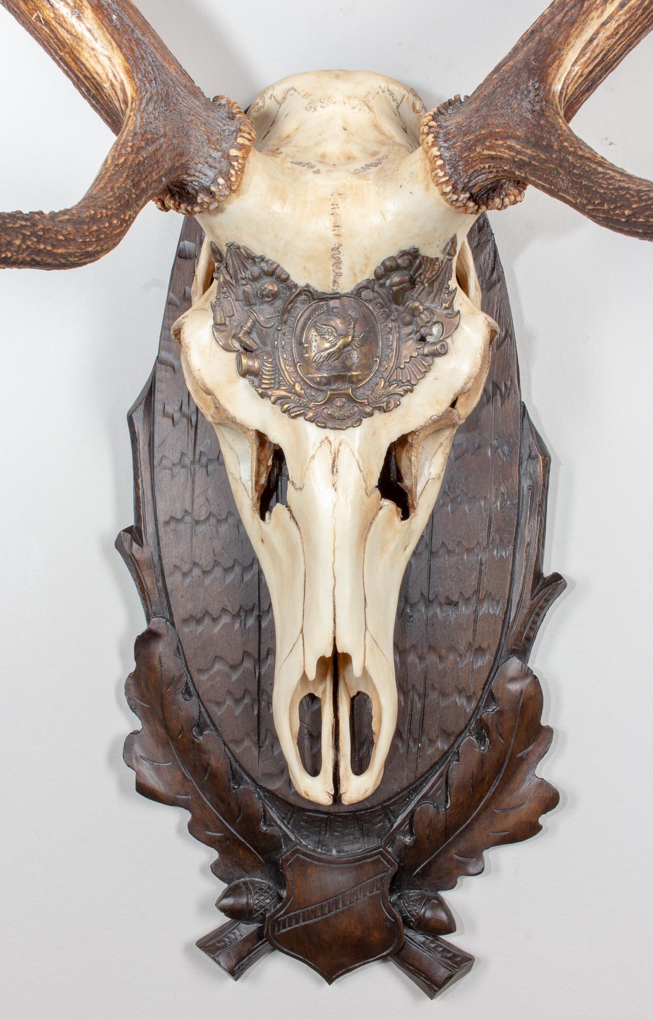 19th century Austrian red stag trophy on original black forest carved plaque that hung in Emperor Franz Josef's castle at Eckartsau in the Southern Austrian Alps. Eckartsau was a favourite hunting schloss of the Habsburg family. The plaque itself is