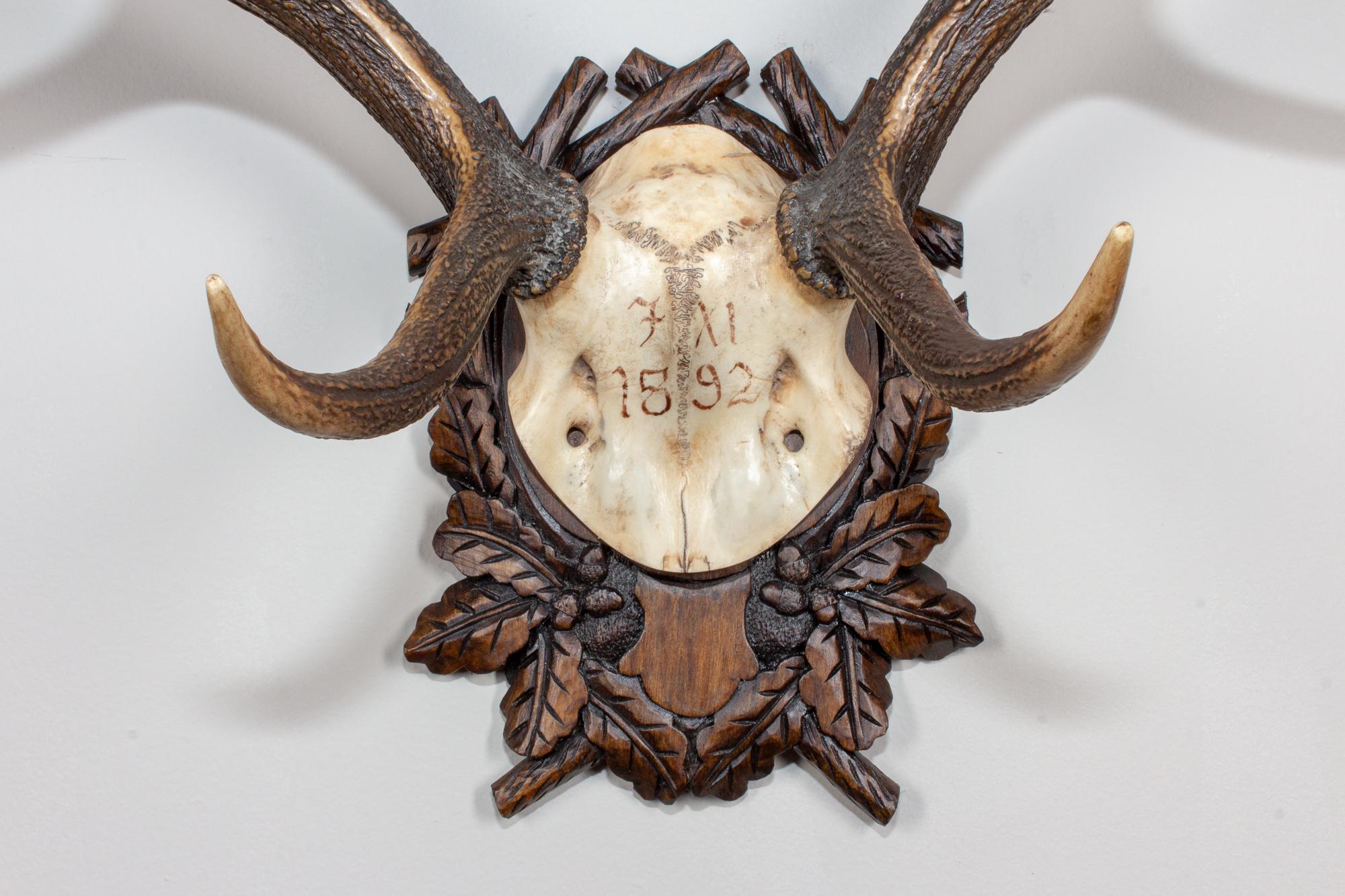 19th century Austrian red stag trophy on original Black Forest carved plaque that hung in Emperor Franz Josef's castle at Eckartsau in the Southern Austrian Alps. Eckartsau was a favourite hunting schloss of the Habsburg family. The plaque itself is