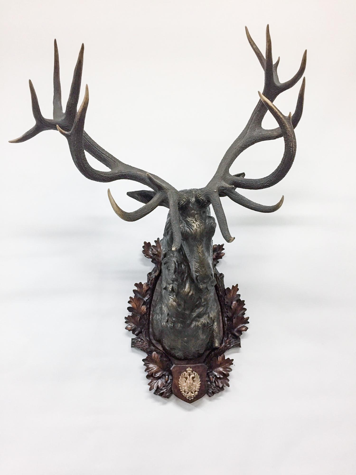 This magnificent red stag trophy is crafted with a cold-cast bronze shoulder mount on a hand carved wood Black Forest plaque with the Habsburg Coat of arms mounted at the bottom of the plaque. The antique Habsburg antlers have been expertly mounted