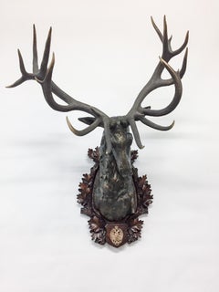 Antique Habsburg Red Stag Trophy on Bronze Shoulder Mount from Eckartsau Castle