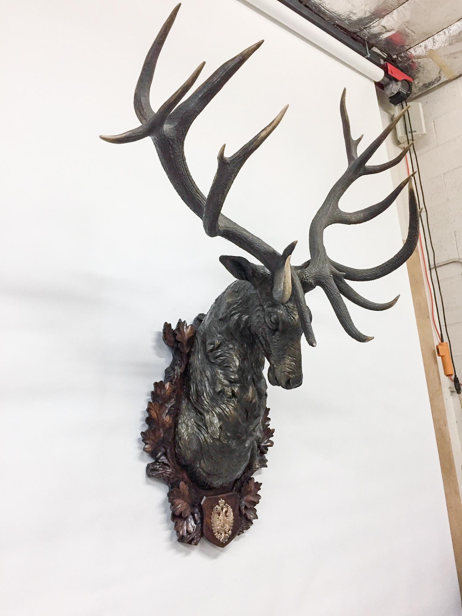 red stag shoulder mount