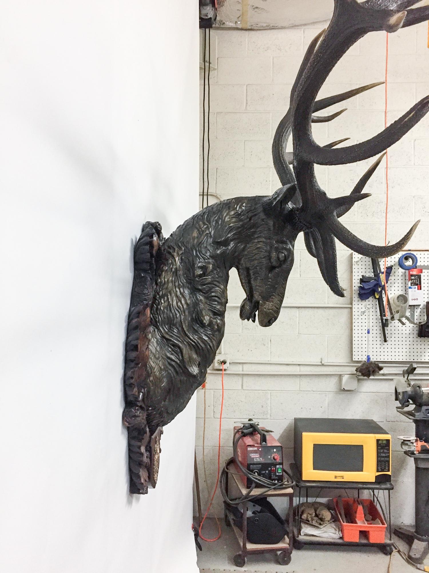 red stag shoulder mount
