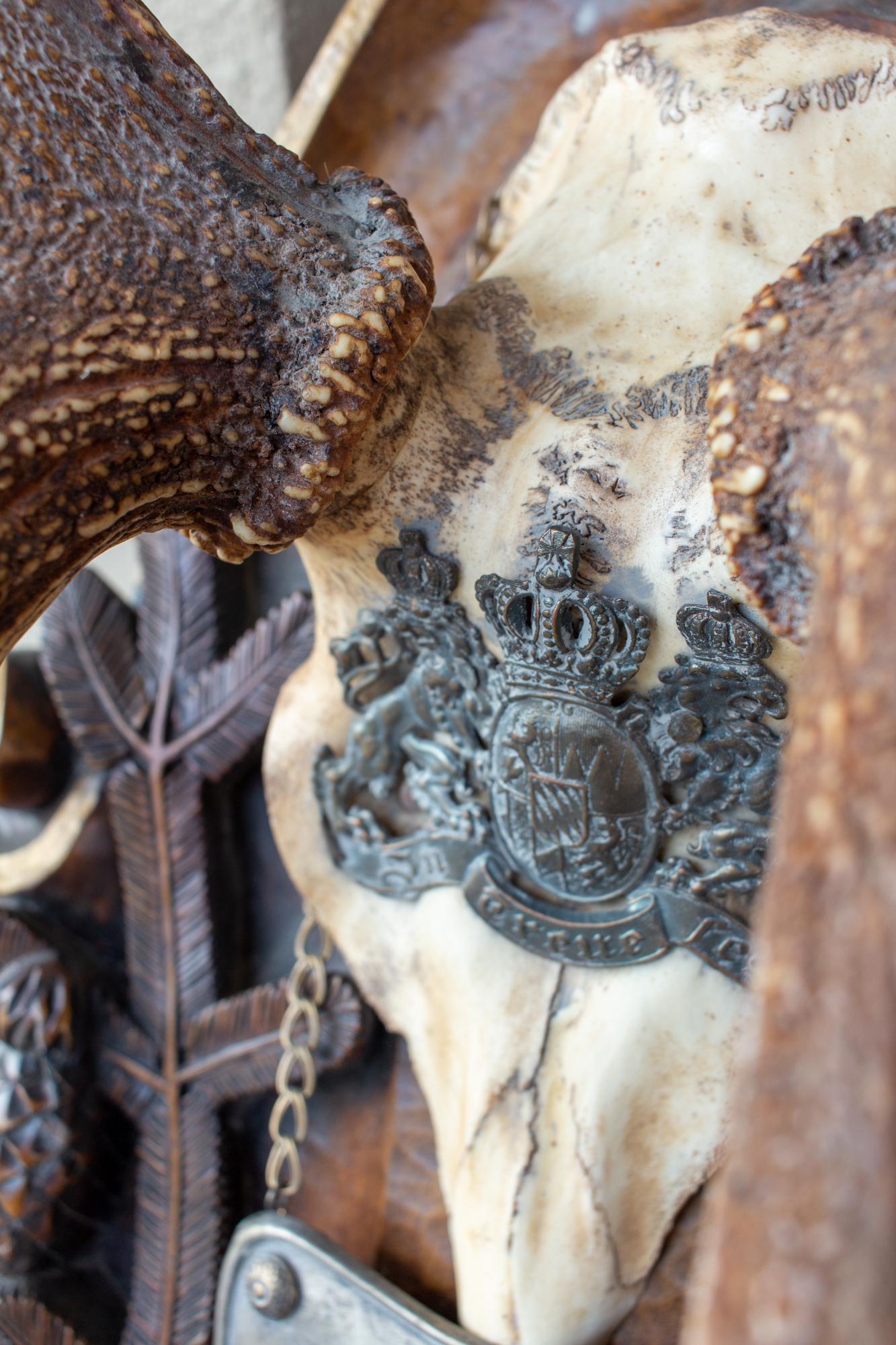 Antique Habsburg Red Stag Trophy on Hand Carved Black Forest Plaque with Gorget 11