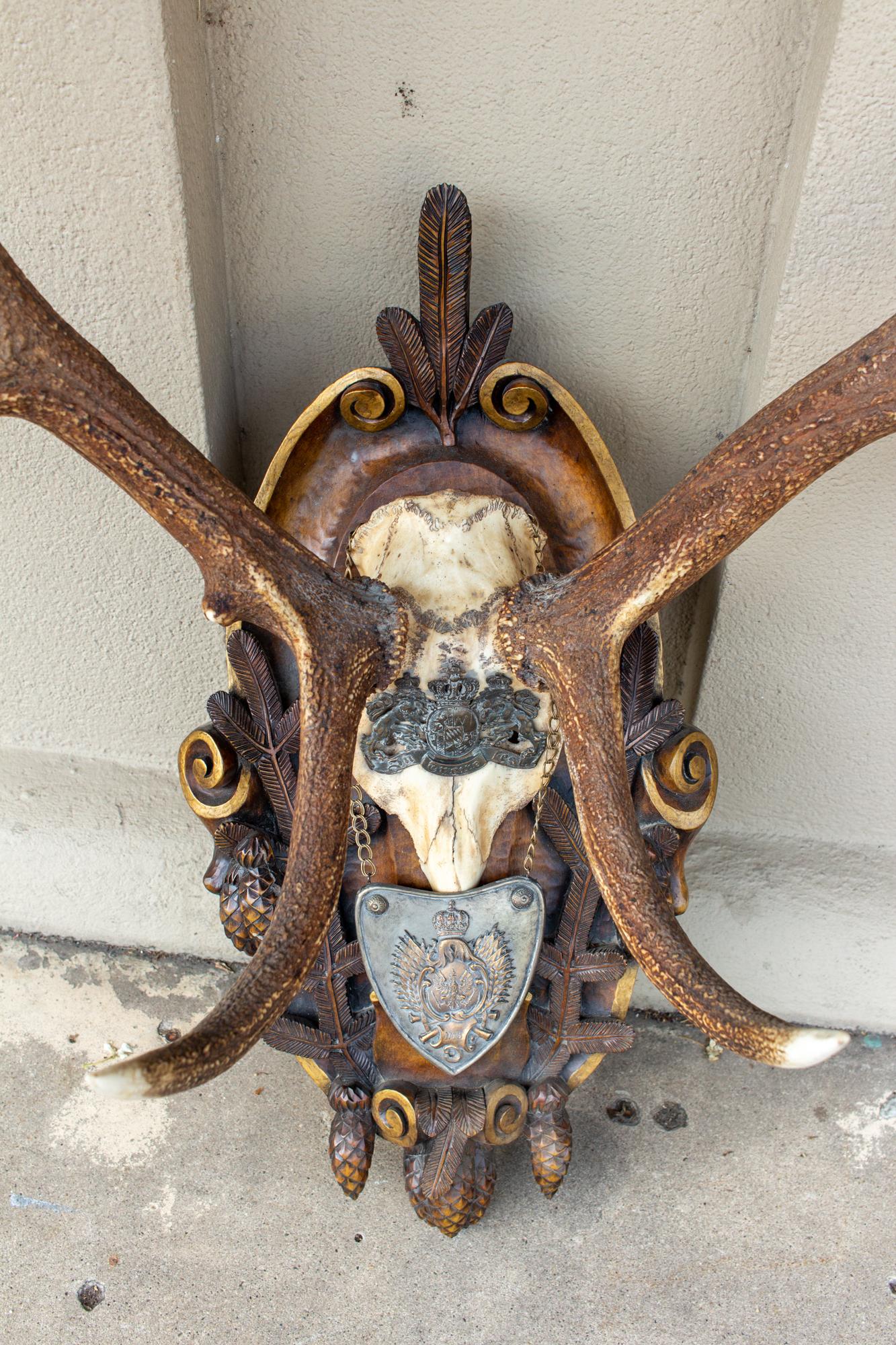 This antique Habsburg Red Stag trophy is mounted on a hand carved Black Forest plaque with Classic Black Forest themes of pine cones, pine branches, and scroll work with gilt accents. The full-CAP is decorated with an original Bavarian offiicer's