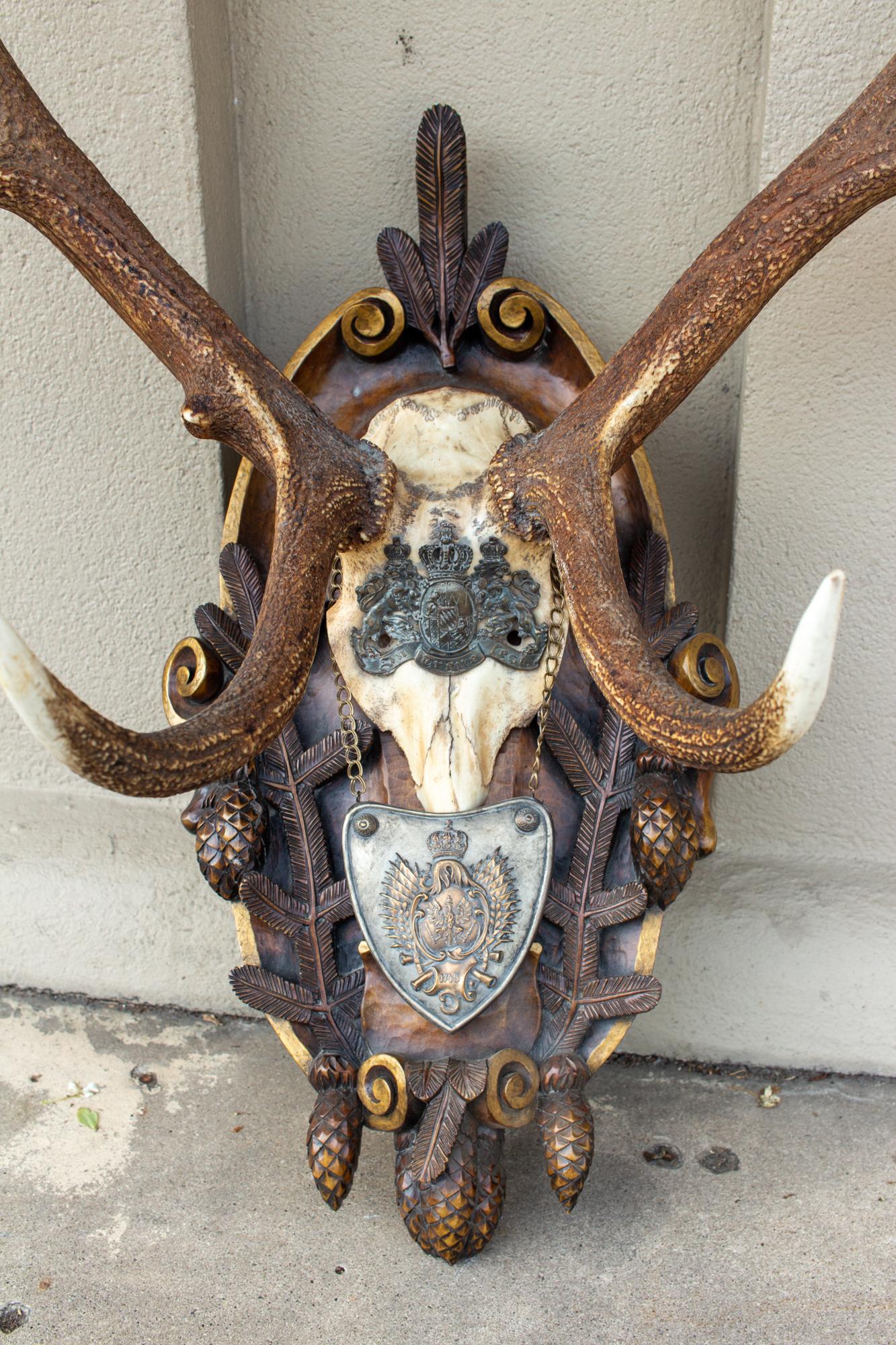 Austrian Antique Habsburg Red Stag Trophy on Hand Carved Black Forest Plaque with Gorget