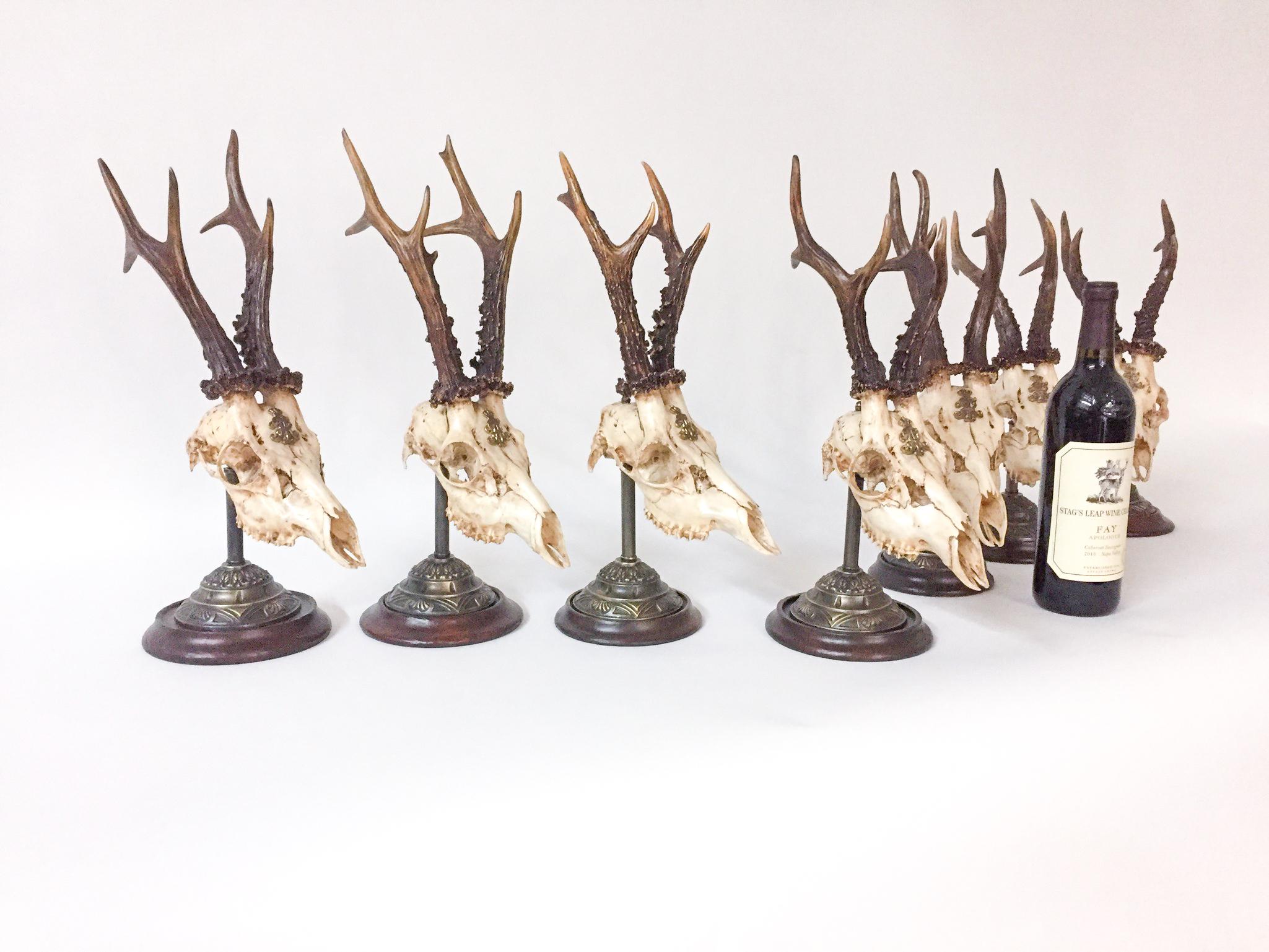 19th century Habsburg roe deer trophies on stands with the royal cypher of Emperor Franz Josef of Austria. Each of the seven available trophies is mounted on a bronze and wood stand with a round base. These trophies are part of a large grouping of