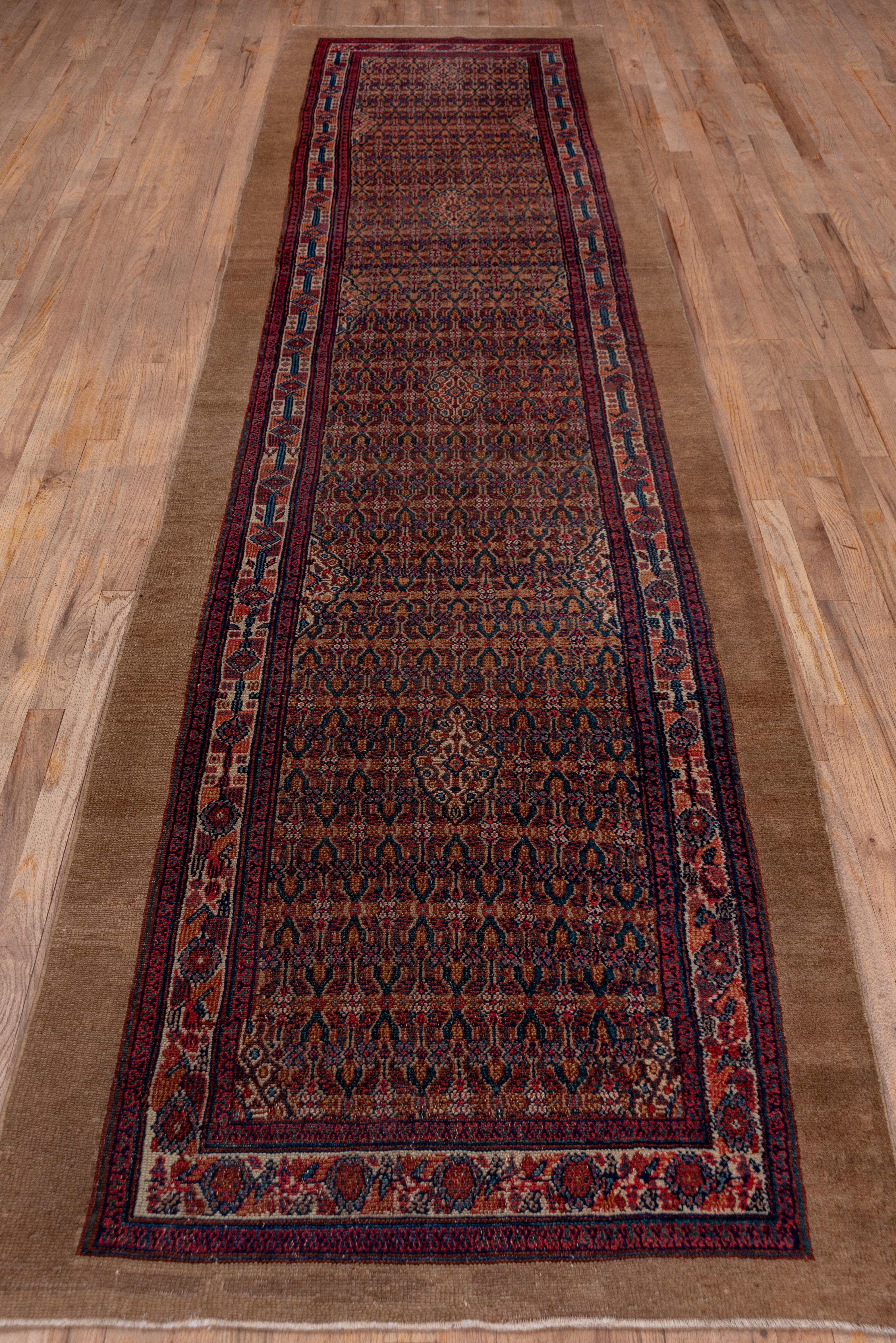 Ce tapis persan de l'Ouest à bordure unie de couleur camel présente quatre petits médaillons ivoires flottant sur un motif de treillis serré de couleur rouge, moutarde et ivoire. Le ton chameau est obtenu en teignant la laine avec des cosses de noix.