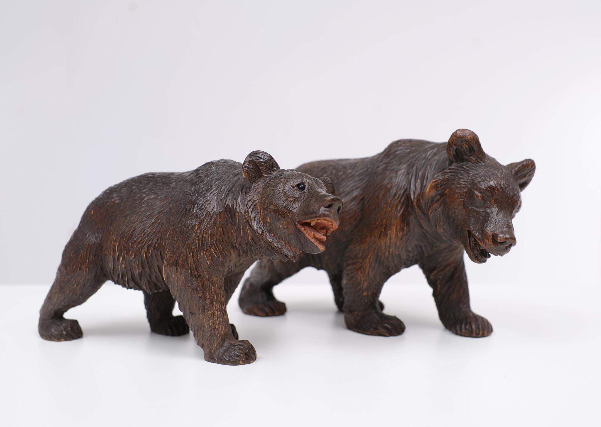 Antique Hand Carved Black Forest Bear 1920s Germany For Sale 2