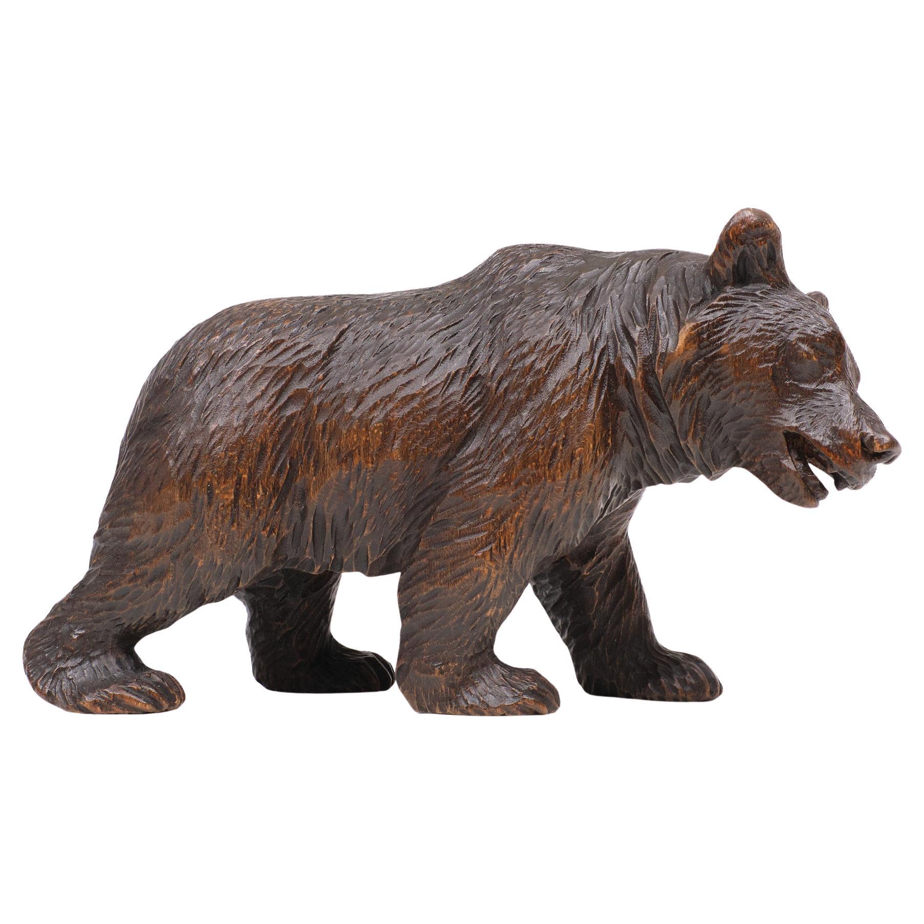 Very nice black forest bear. Hand carved 1920s. Good condition.