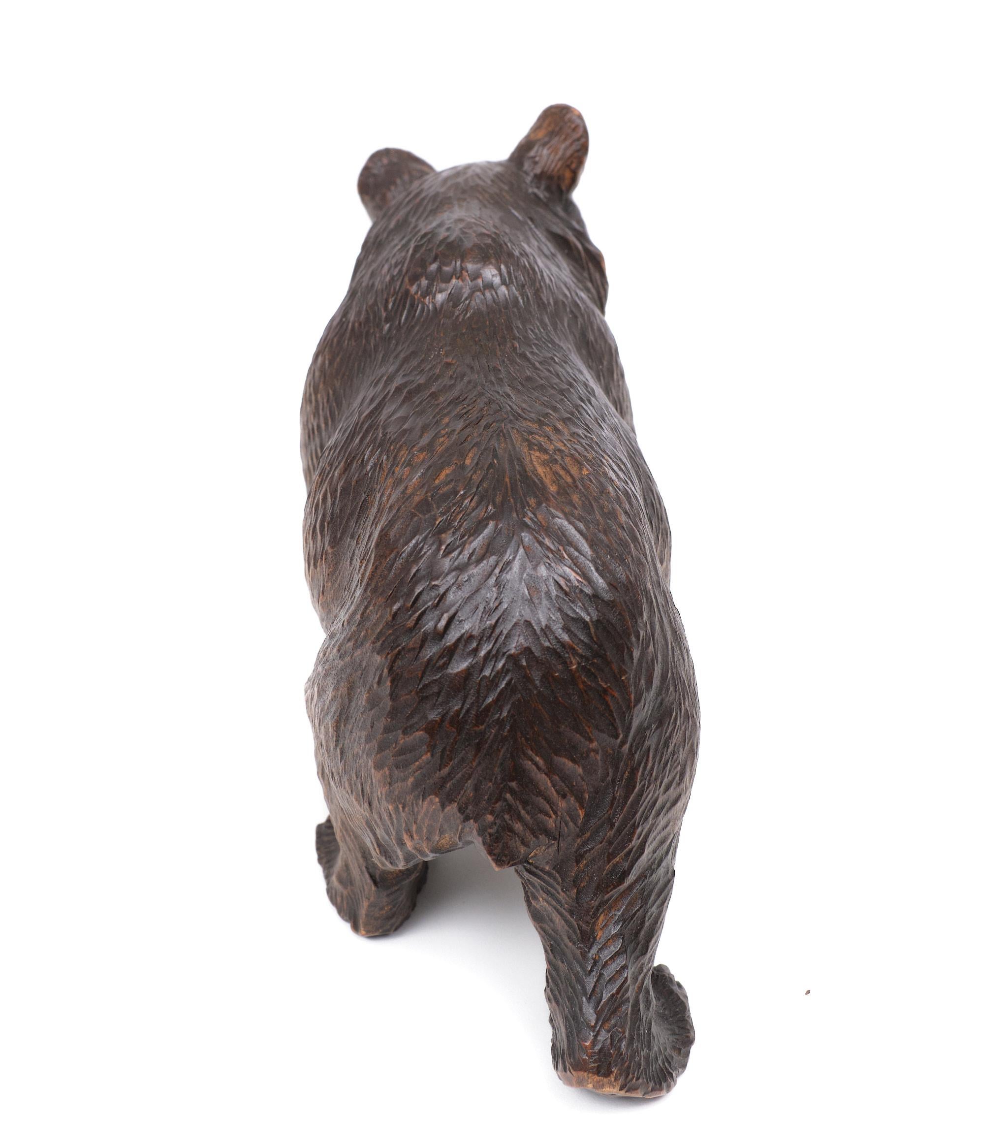 Early 20th Century Antique Hand Carved Black Forest Bear 1920s Germany For Sale
