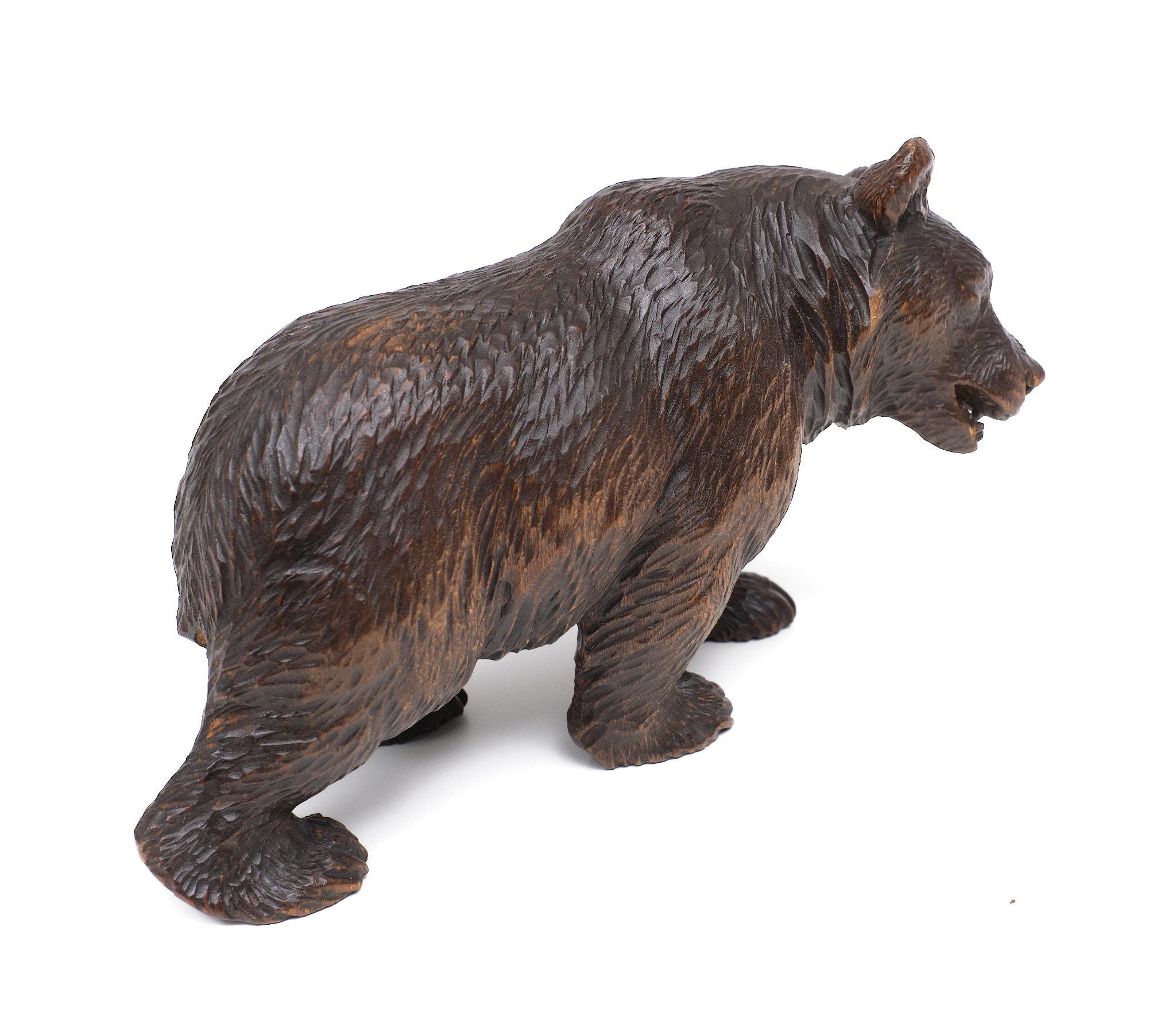 Fruitwood Antique Hand Carved Black Forest Bear 1920s Germany For Sale